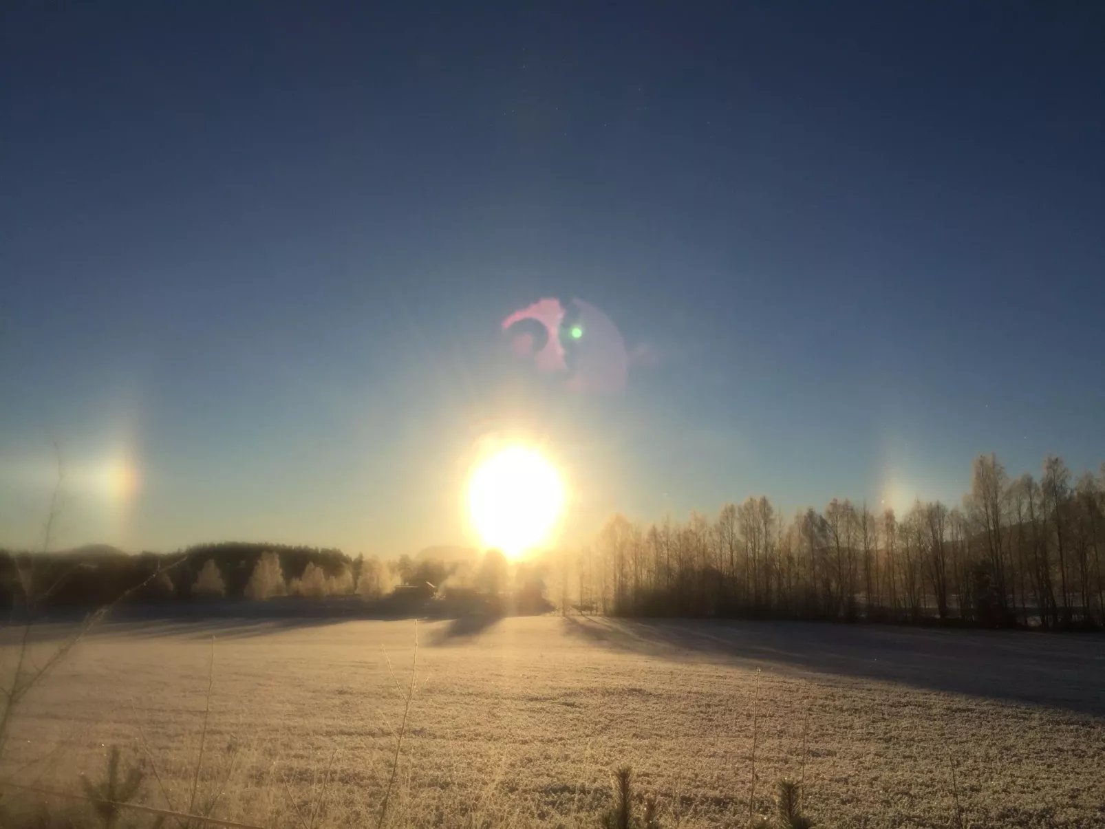 Ferientagheim Hammarstrand-Dehors