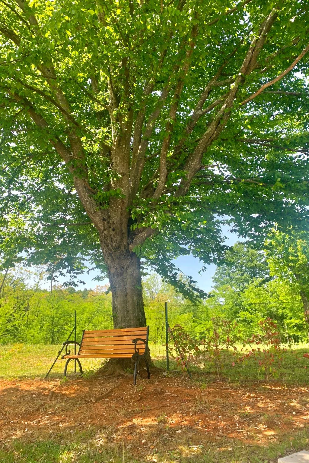 Charmante Villa mit gepflegtem Garten und beheiztem Pool-Outside