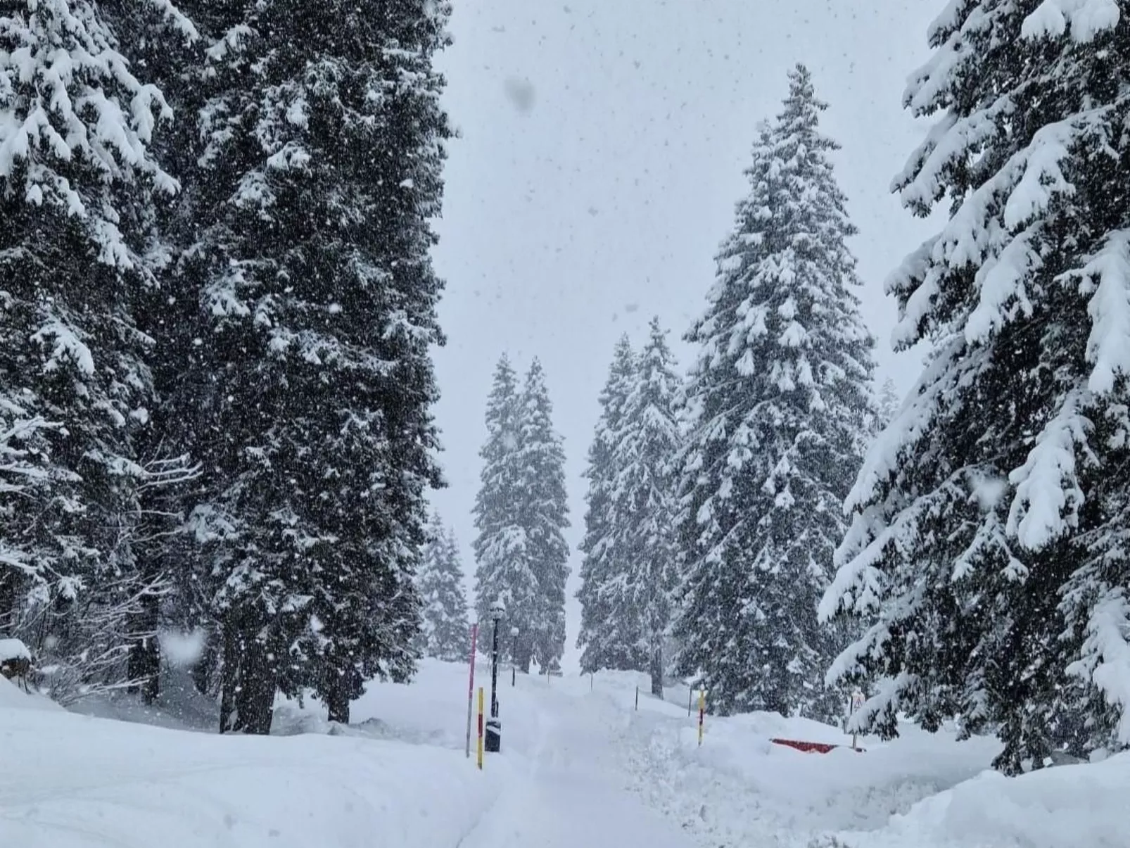 Wohnung Bella vista & Alp'sport-Draußen