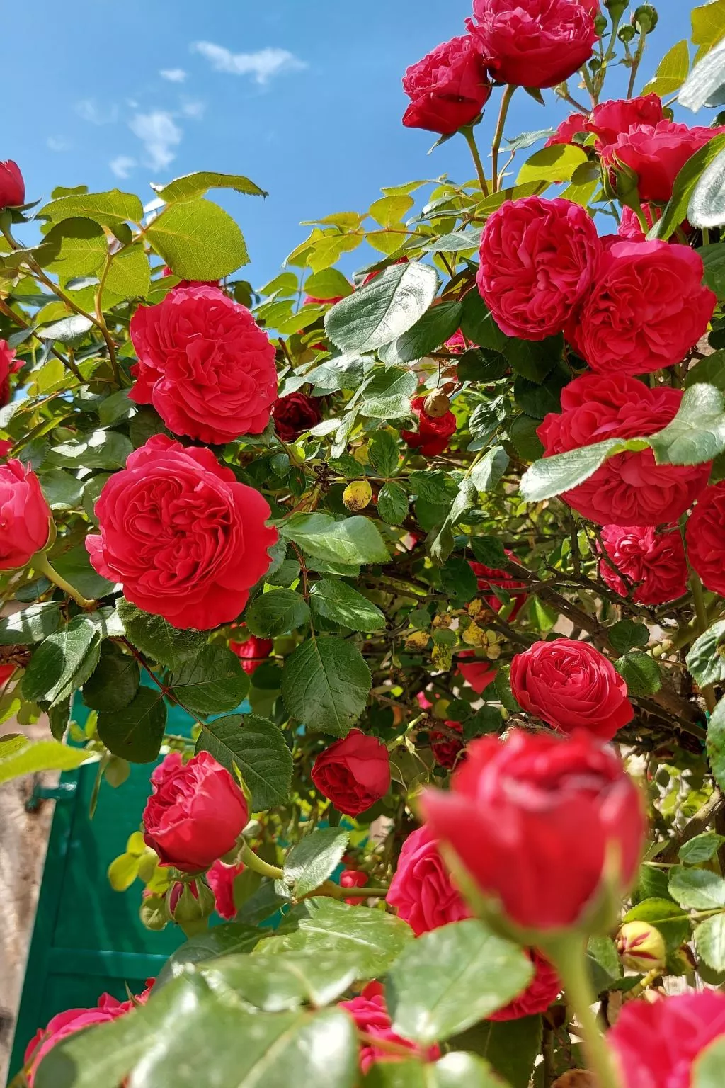 Romantische Villa mit weitläufigem Garten-Outside