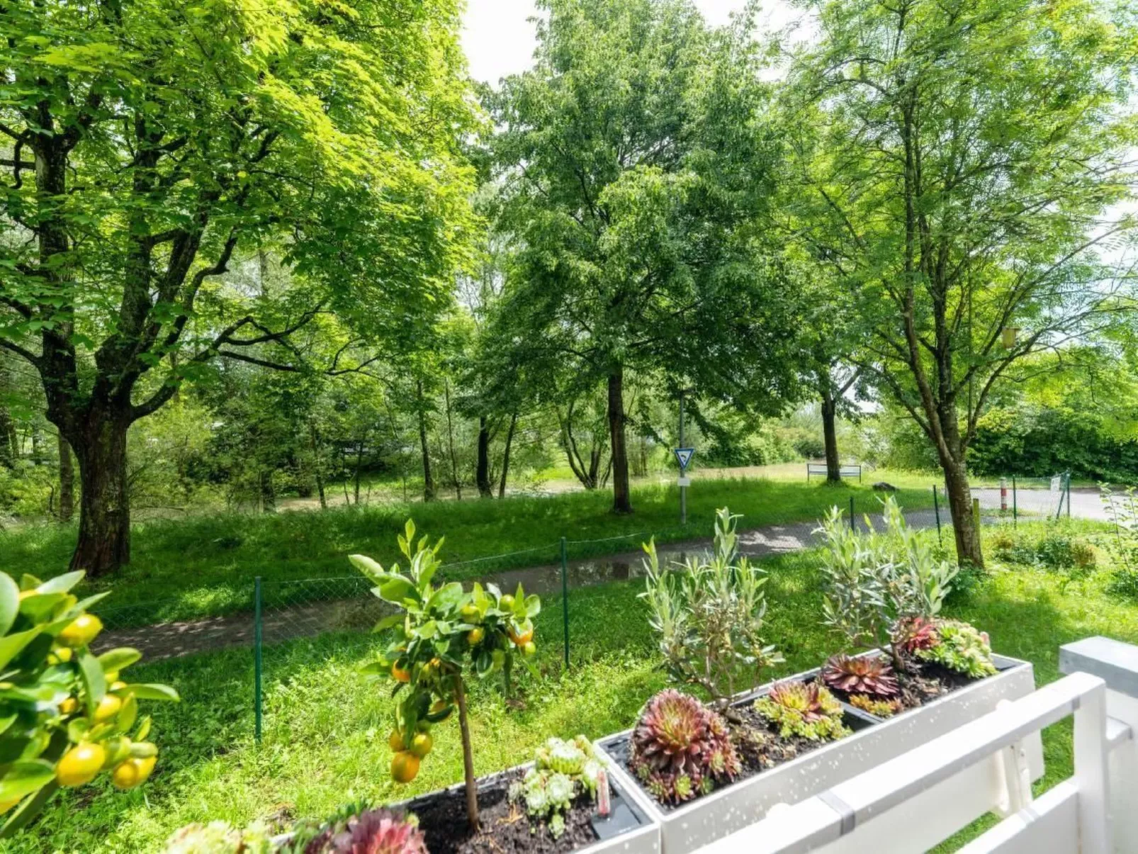 Traum Wohnung direkt am Bodensee mit Seesicht-Outside