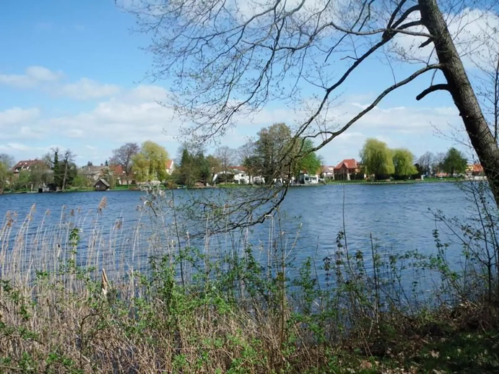 Ferienhaus Claire am Klostersee Urlaub mit Hund-Draußen