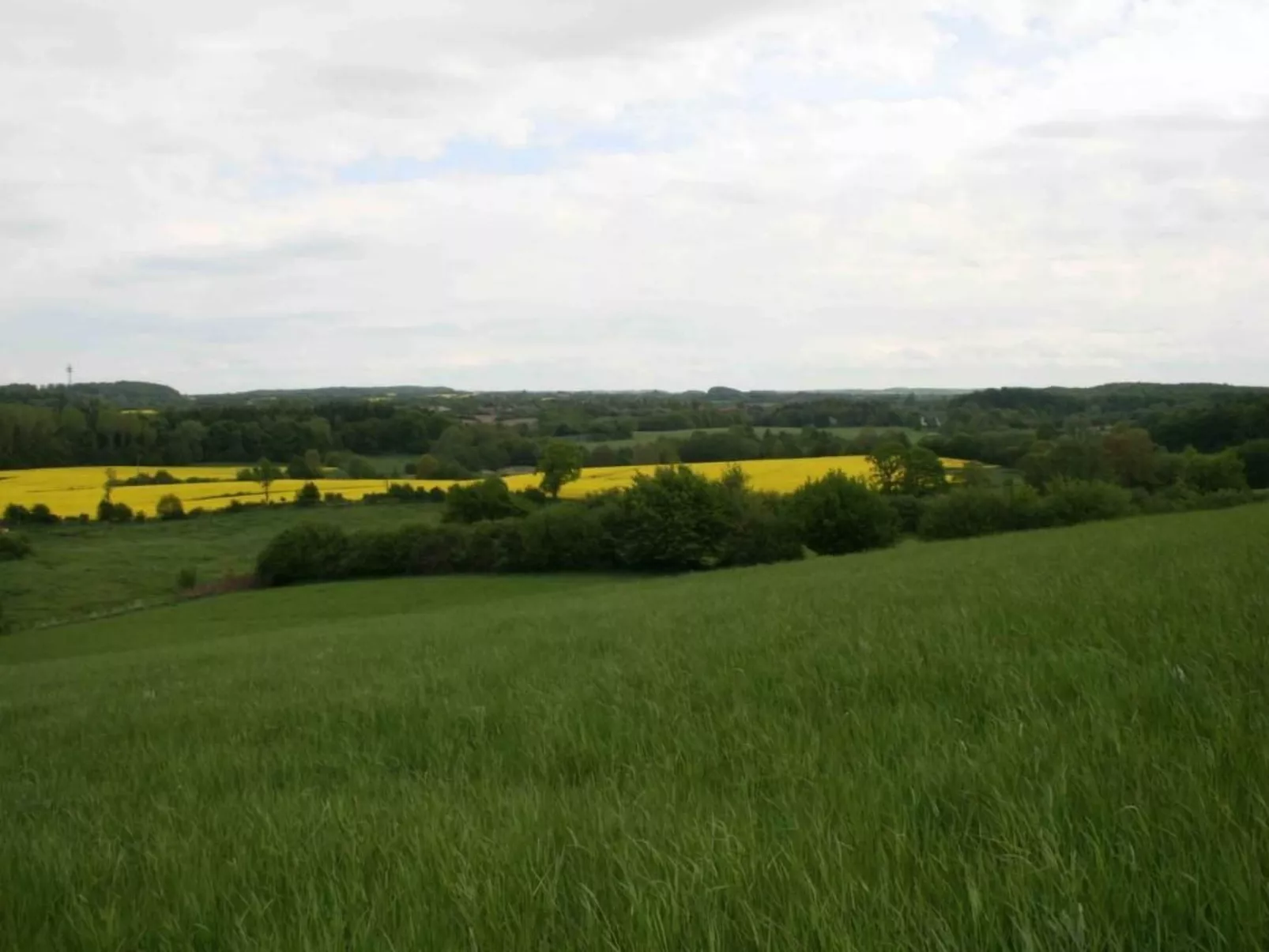 Hof Rodenkrog Fewo 1-Dehors