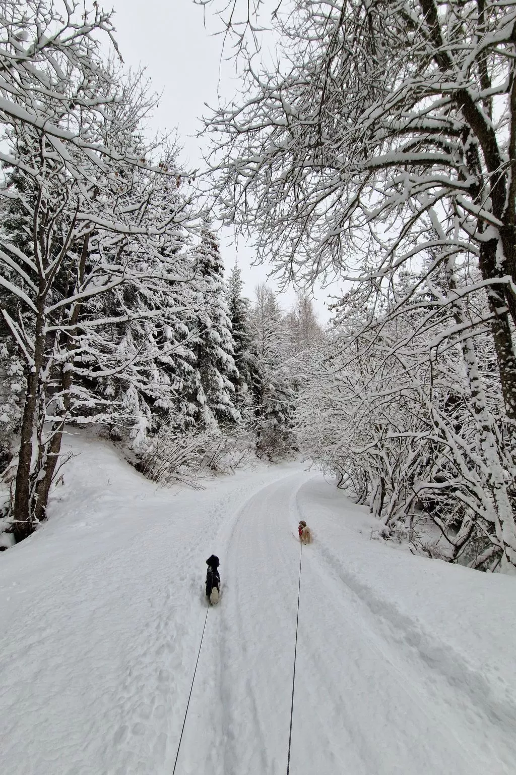 Knusperhäuschen Maria Nikolett in Wolfsberg-Outside