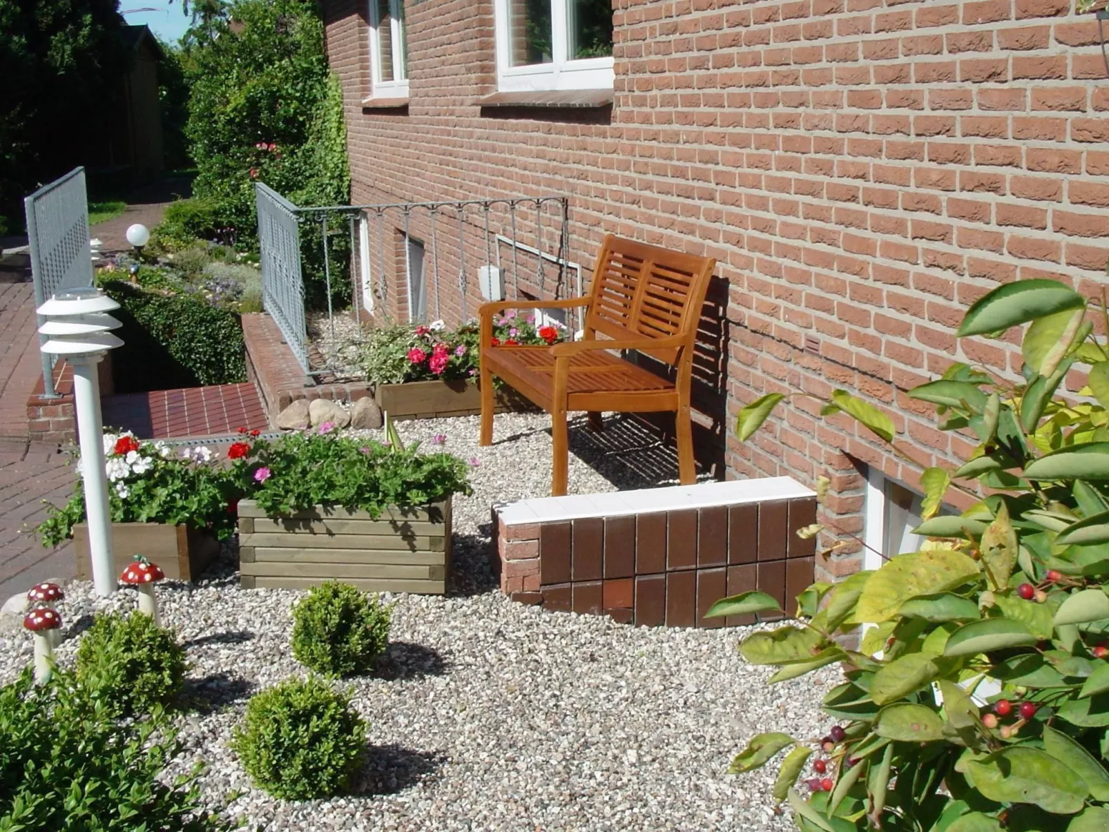 Silbermöwe-Draußen