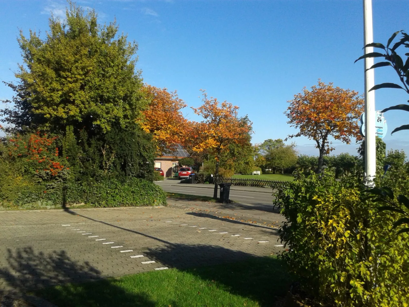 Heringsmöwe in Neue Tiefe-Draußen