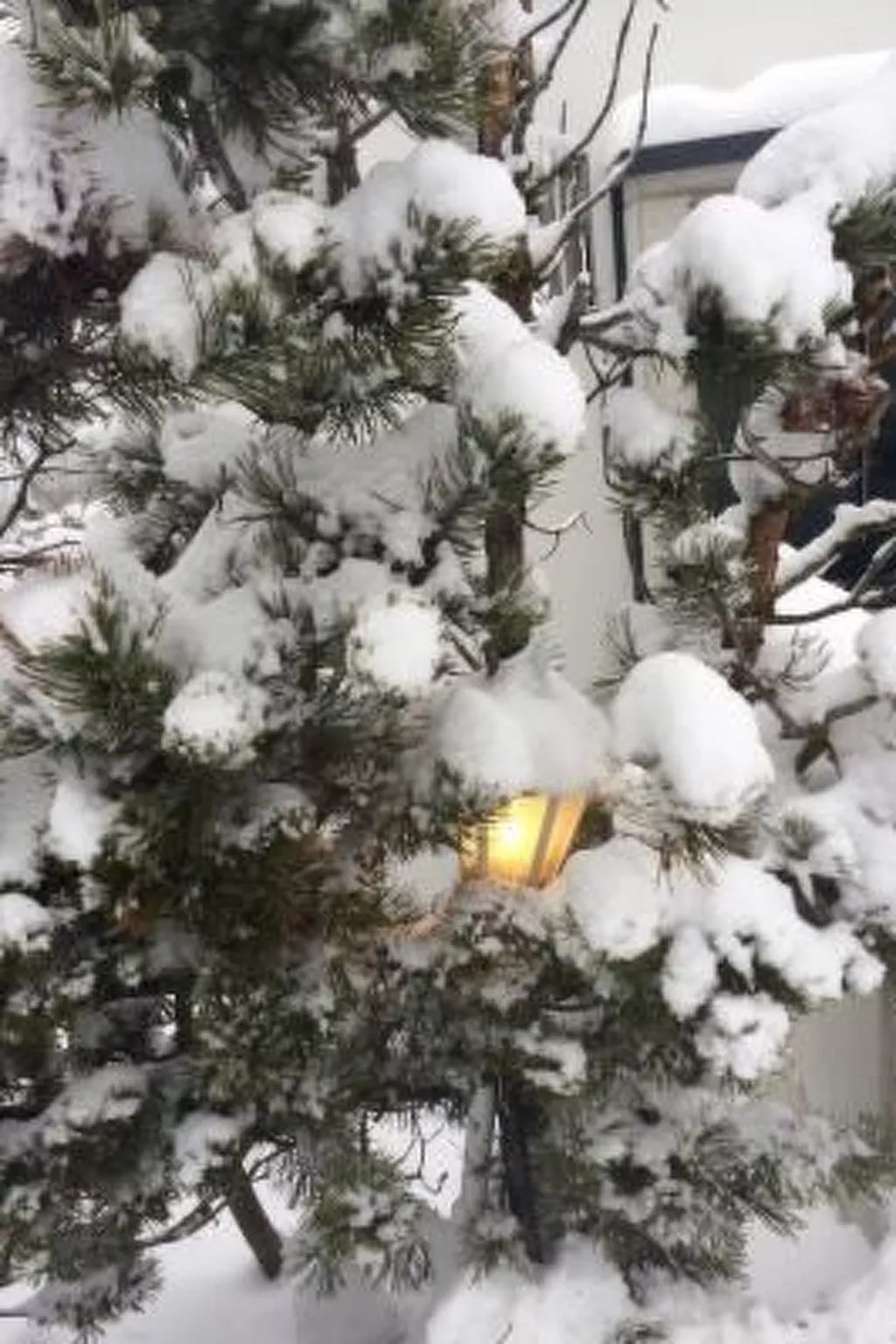 Komfortables Ferienhaus in Landeck mit Pool-Image-tags.info