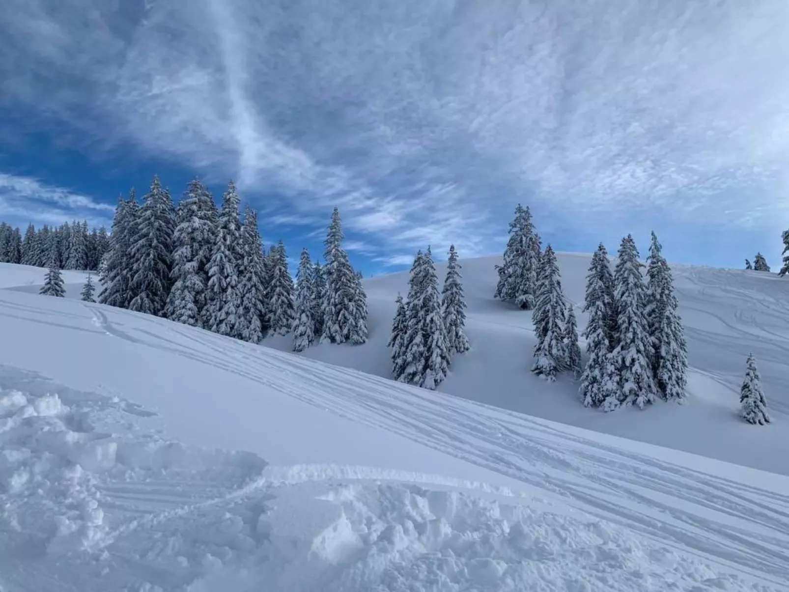Sonnig und gemütlich-Dehors
