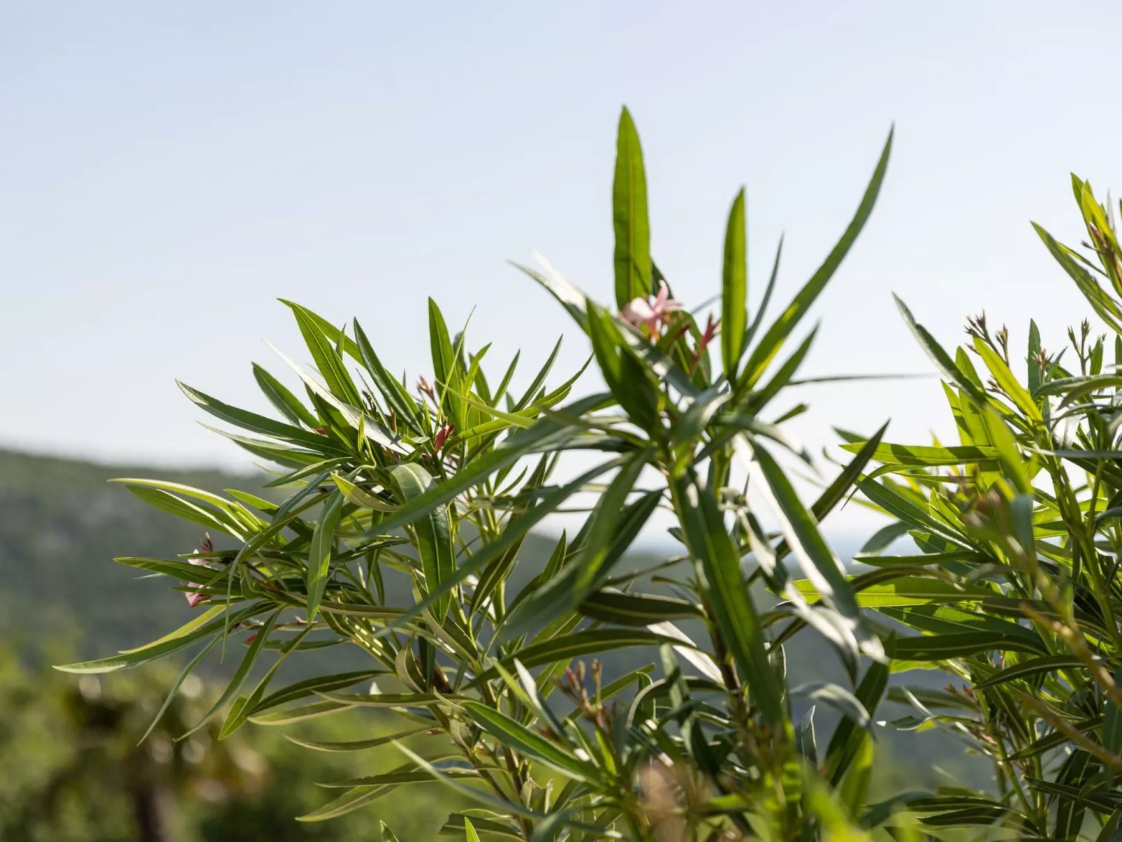 Designferienhaus mit Hot Tub-Image-tags.info