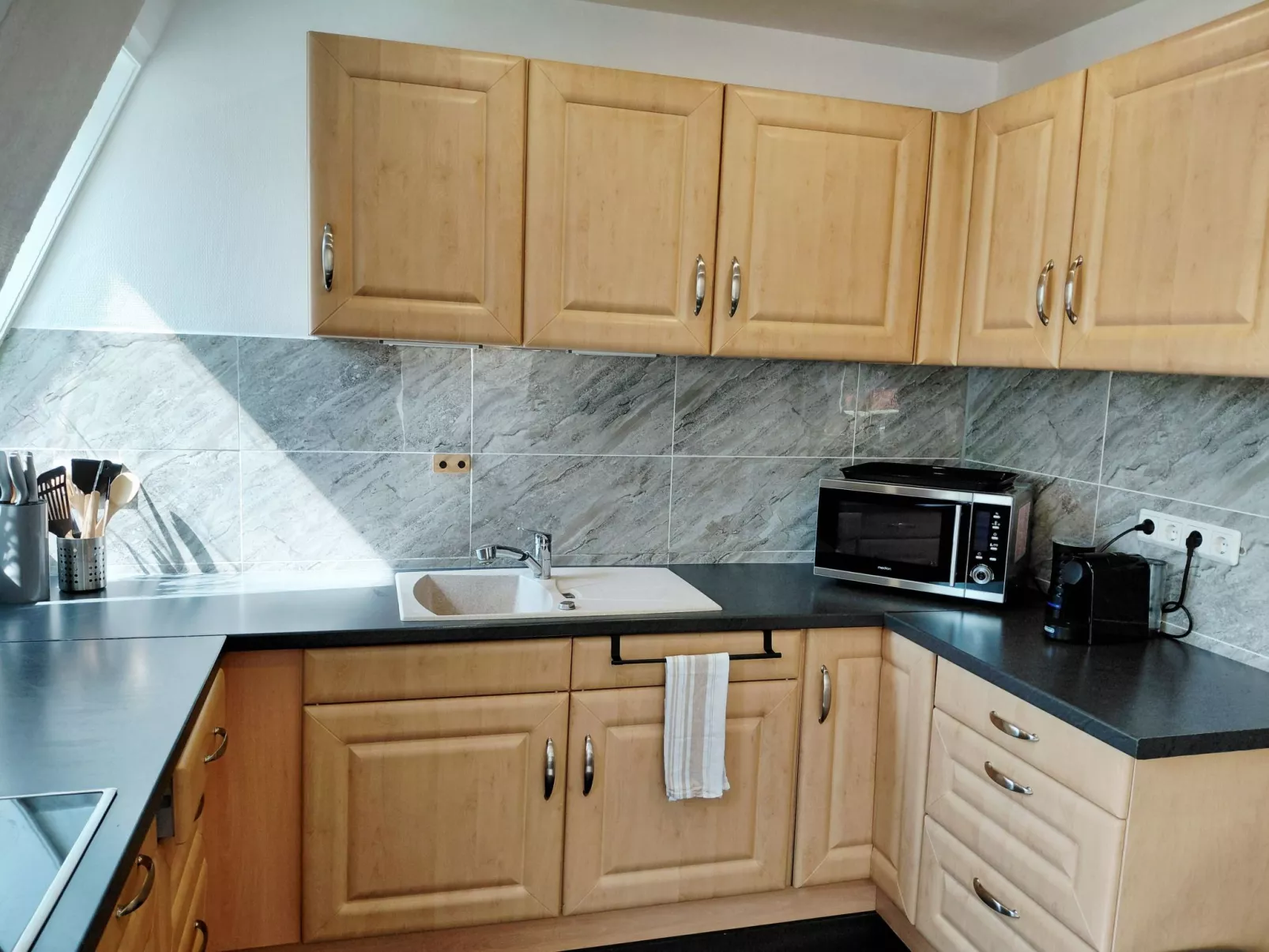 Wanderfalke II-Drinnen