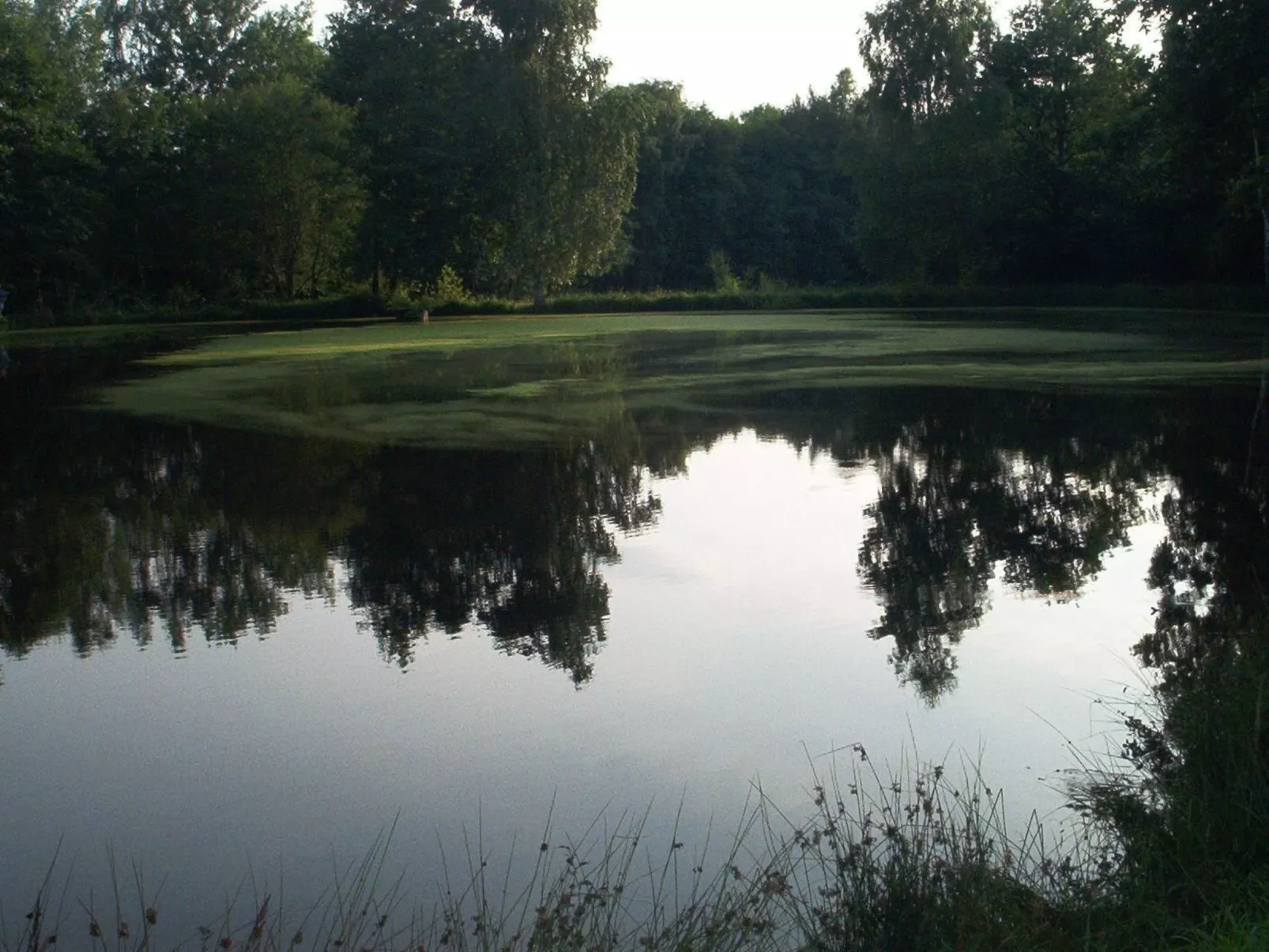 Fewo Stricker 31-Draußen