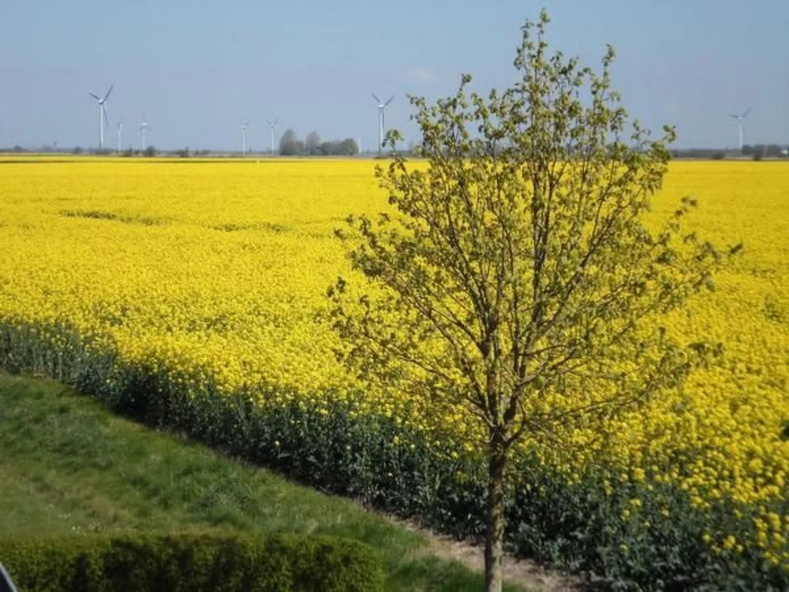 Gemütliche Ferienwohnung in Upleward mit Balkon-Outside