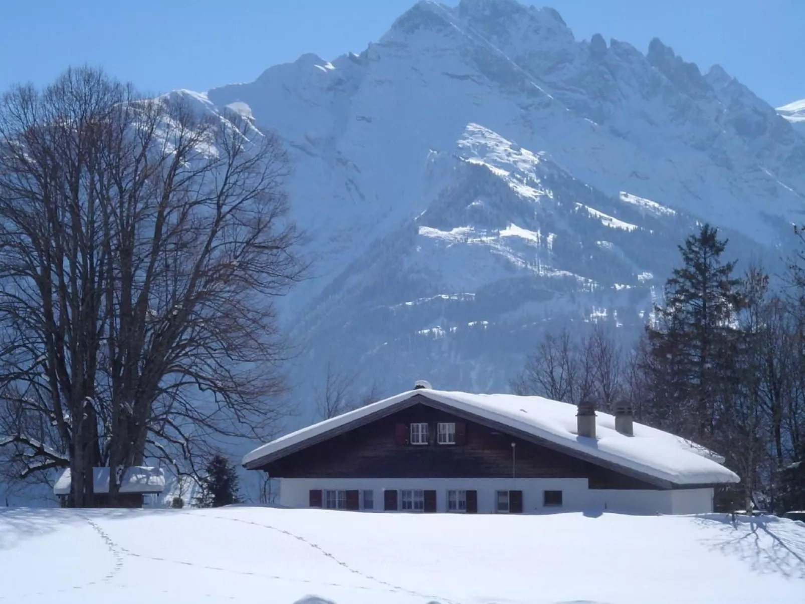 Flüehli Roth-Image-tags.info