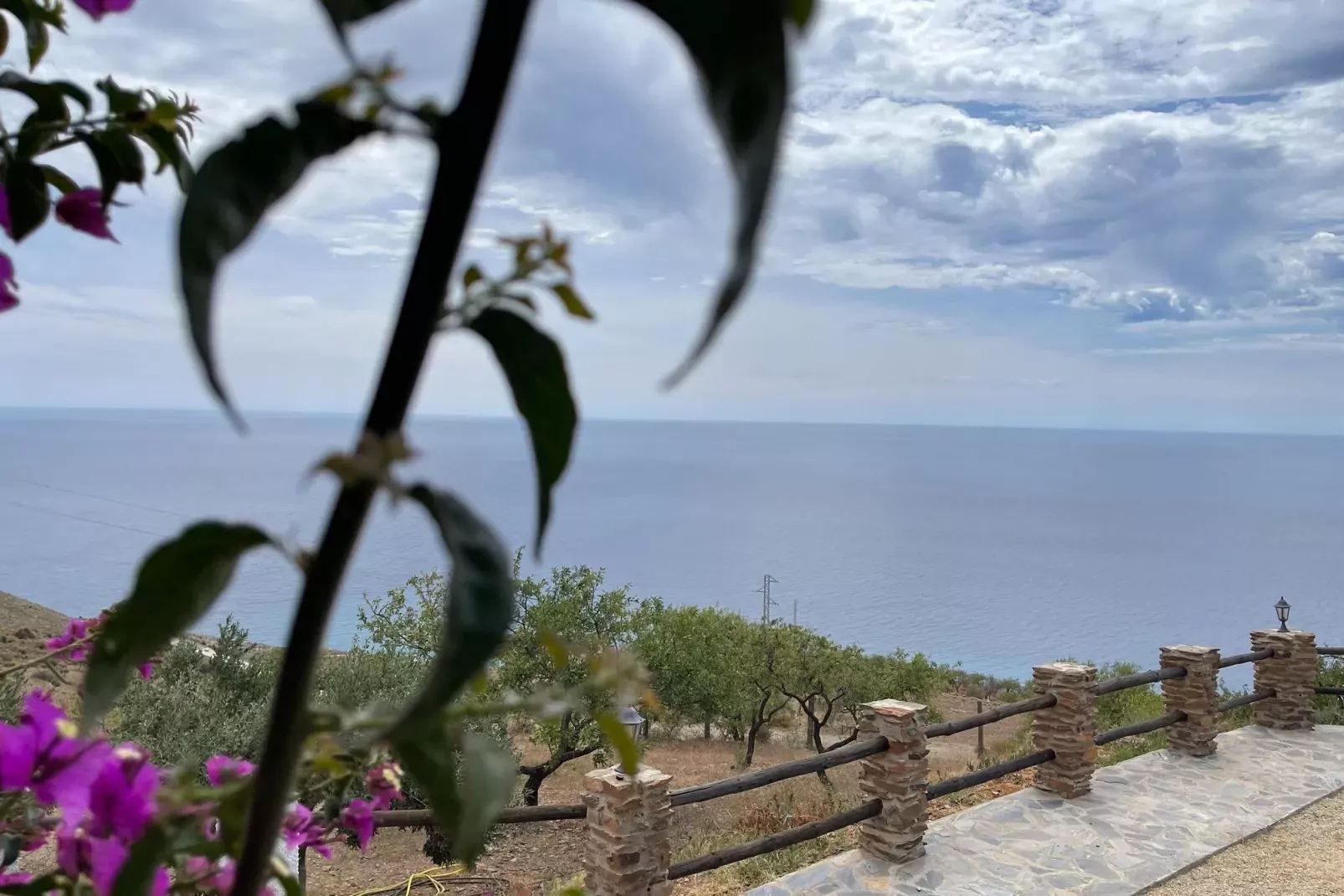 La Suerte Crisantemo-View summer