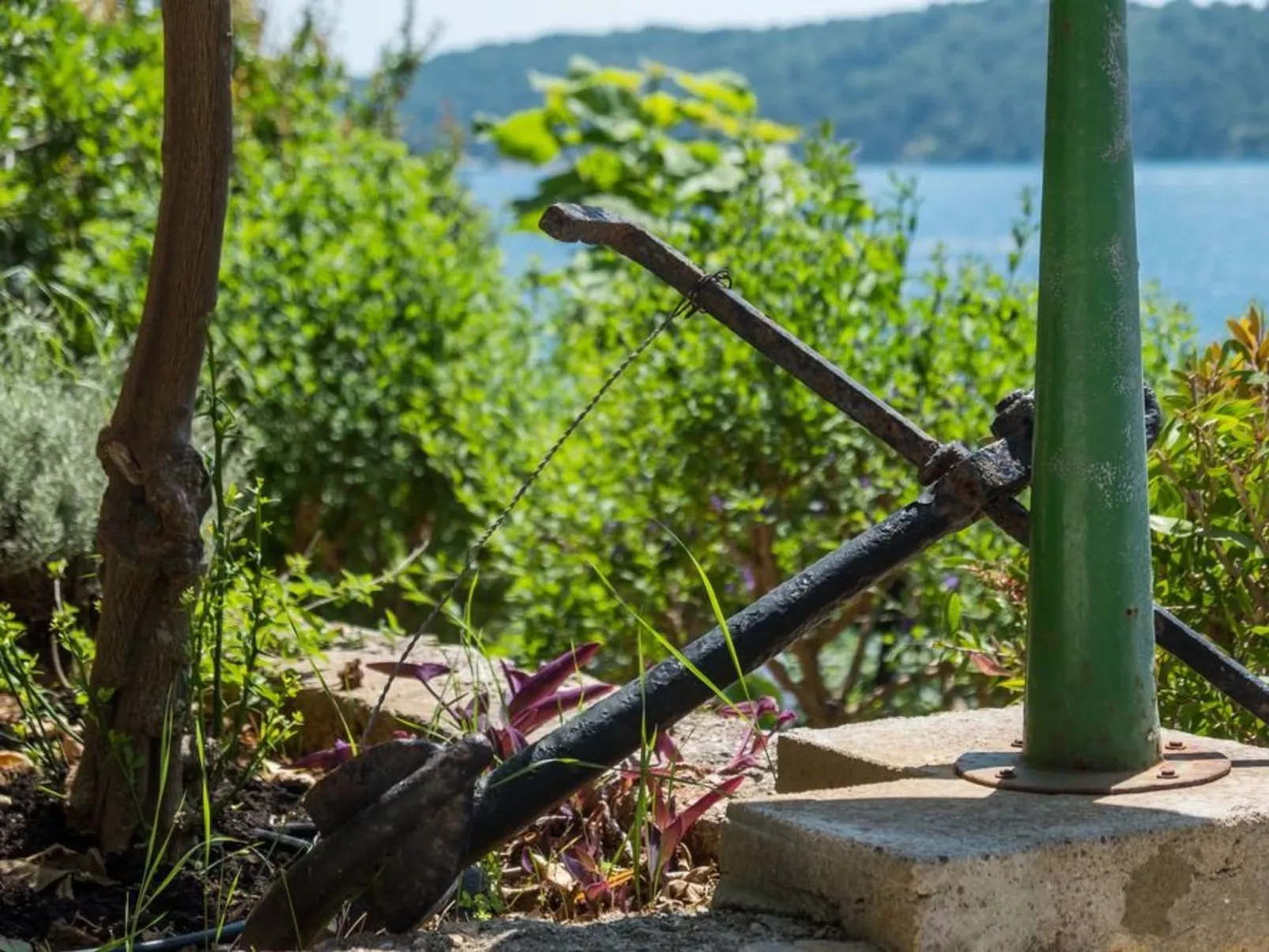 Villa Magnolia – Apartment Magnolia-Outside