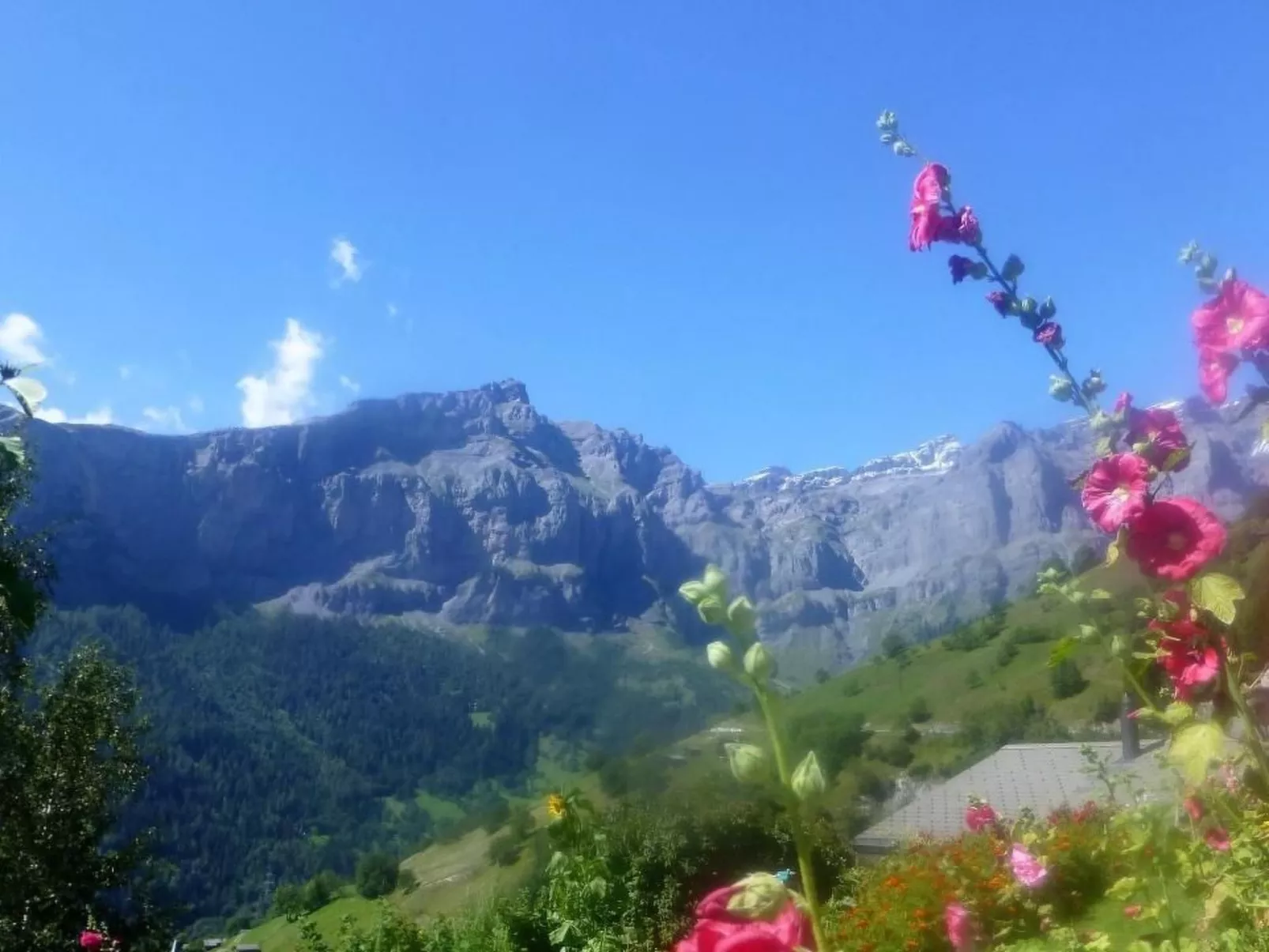 Chalet Abendstern-Dehors