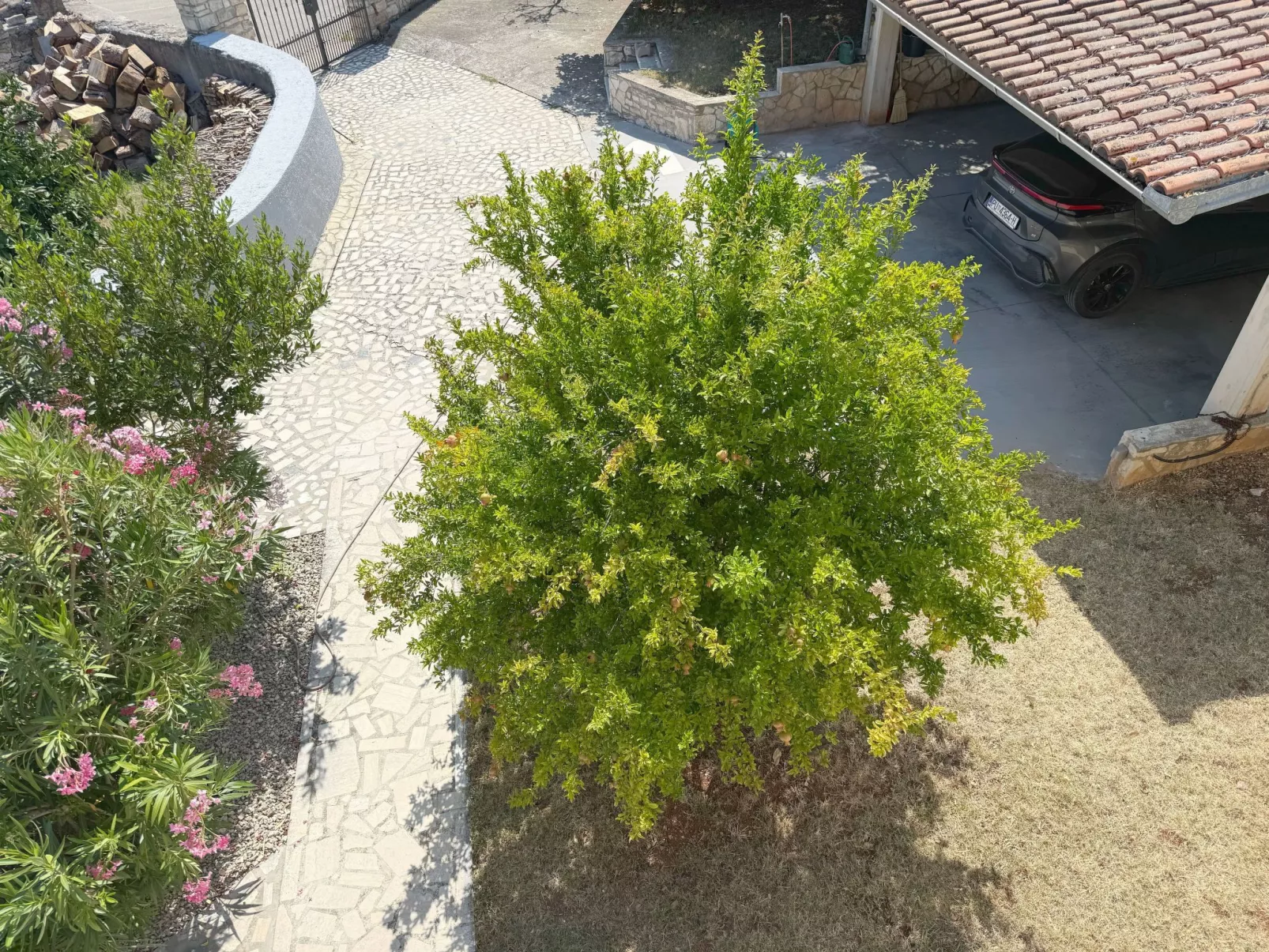 LacoDeLama mini resort - Wohnung Pina mit Pool-Dehors