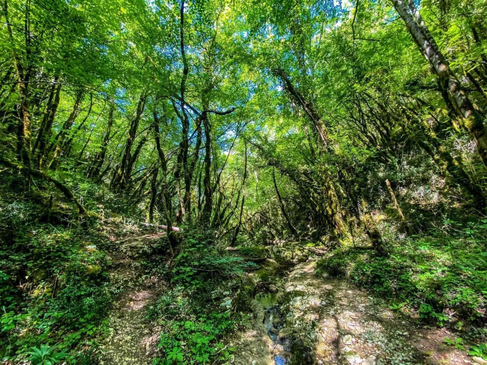 Wunderschöne Ferienwohnung in Ližnjan mit Garten, Grill und Terrasse-Dehors