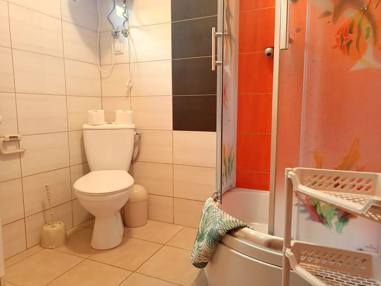 "Paradise Star Bobolin"-Inside