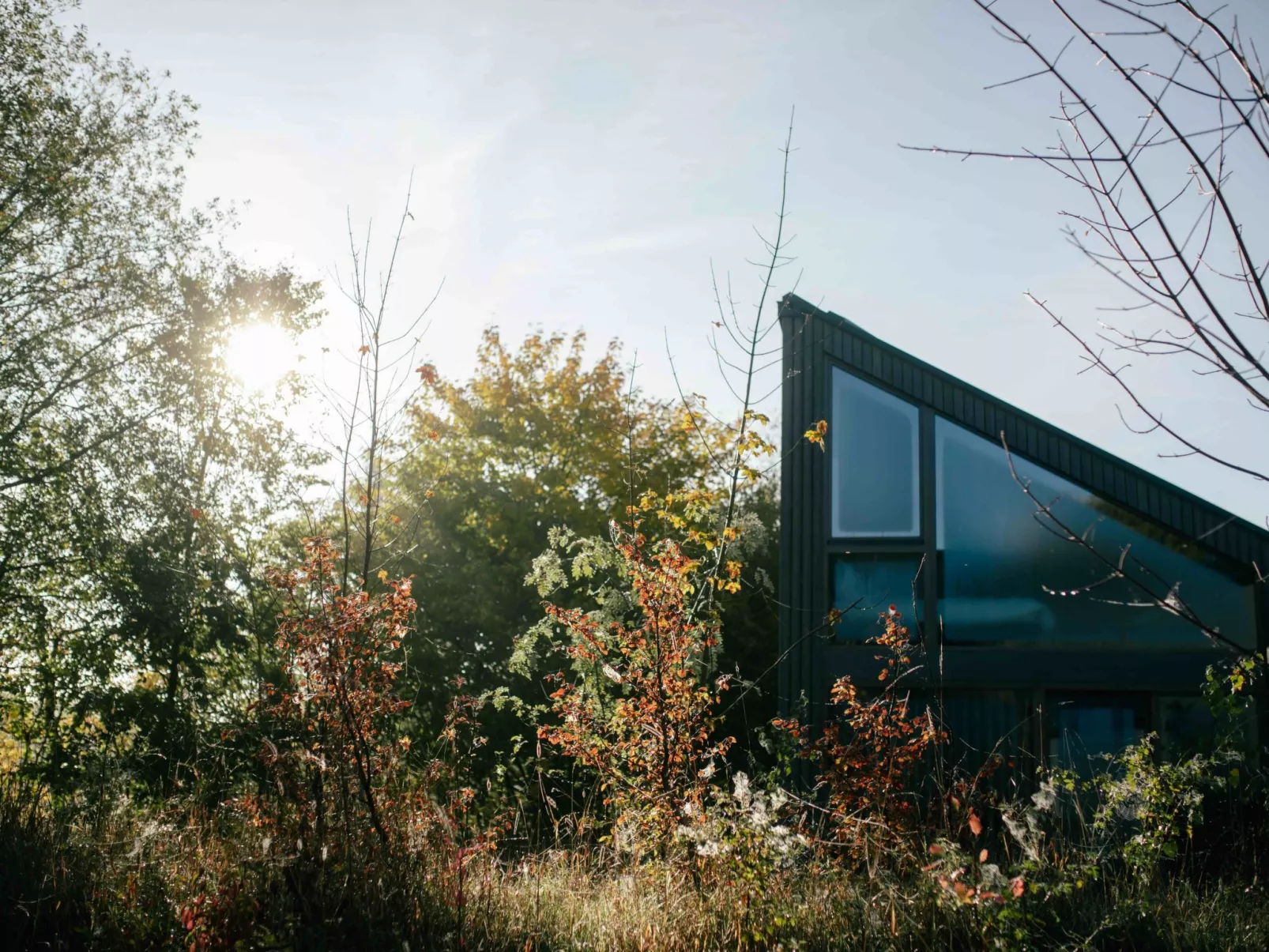 (X) Cabin Cozy-Outside