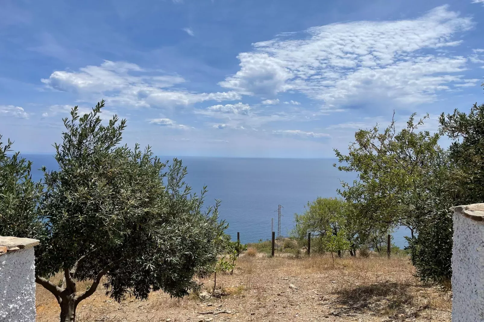 La Suerte Dalia-View summer