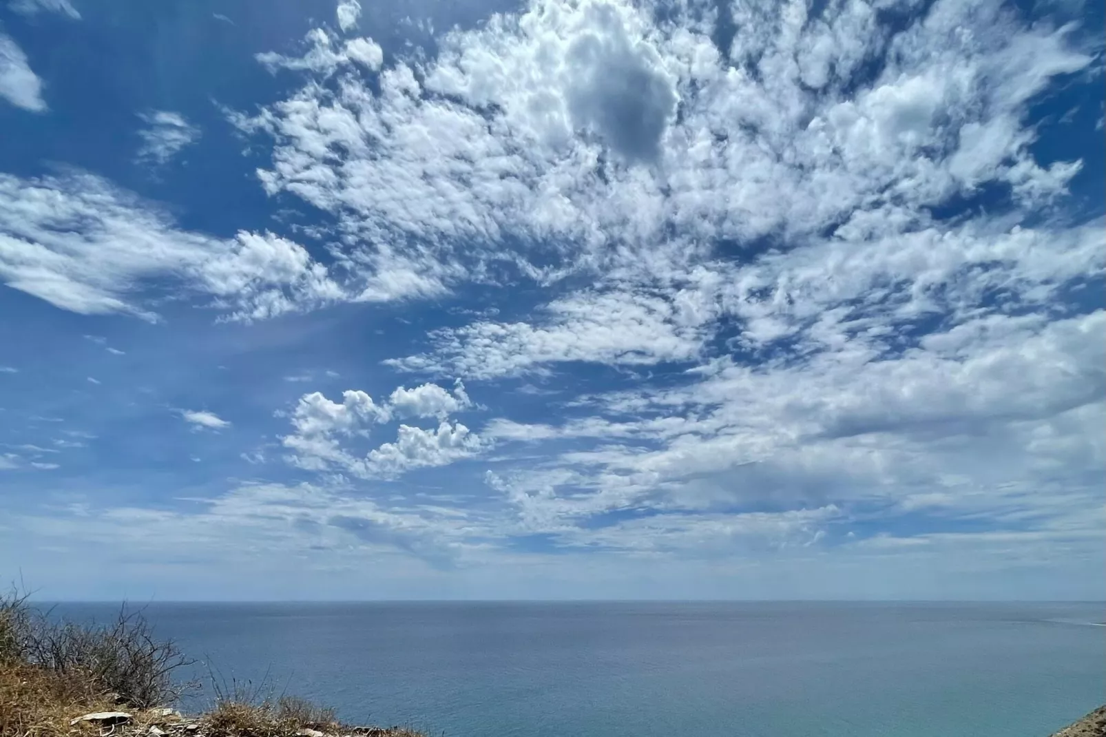 La Suerte Dalia-View summer
