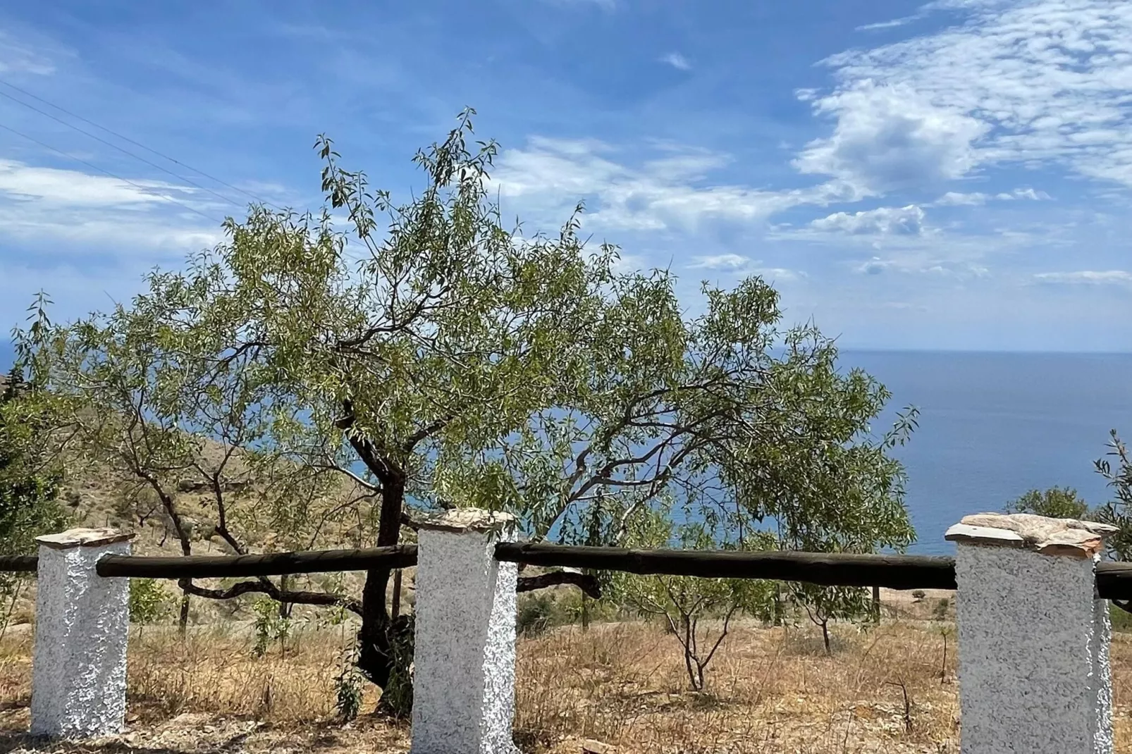 La Suerte Dalia-View summer