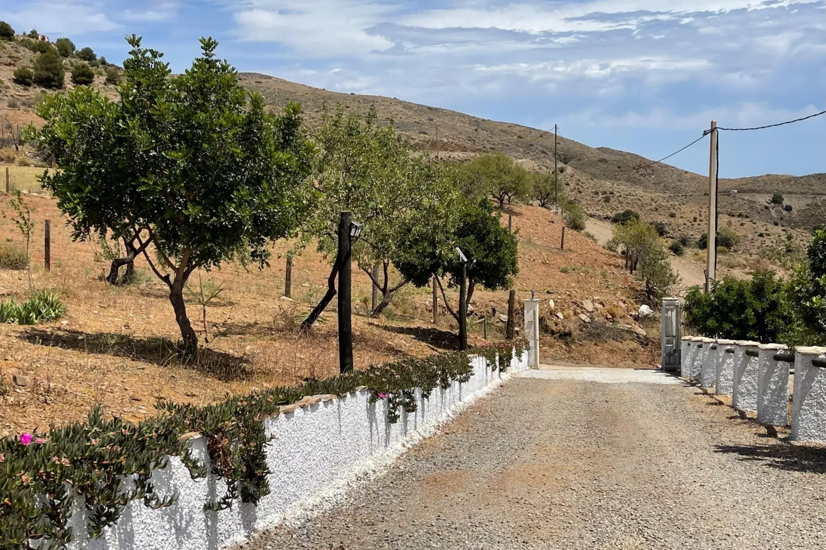 La Suerte Dalia-Areas summer 1km