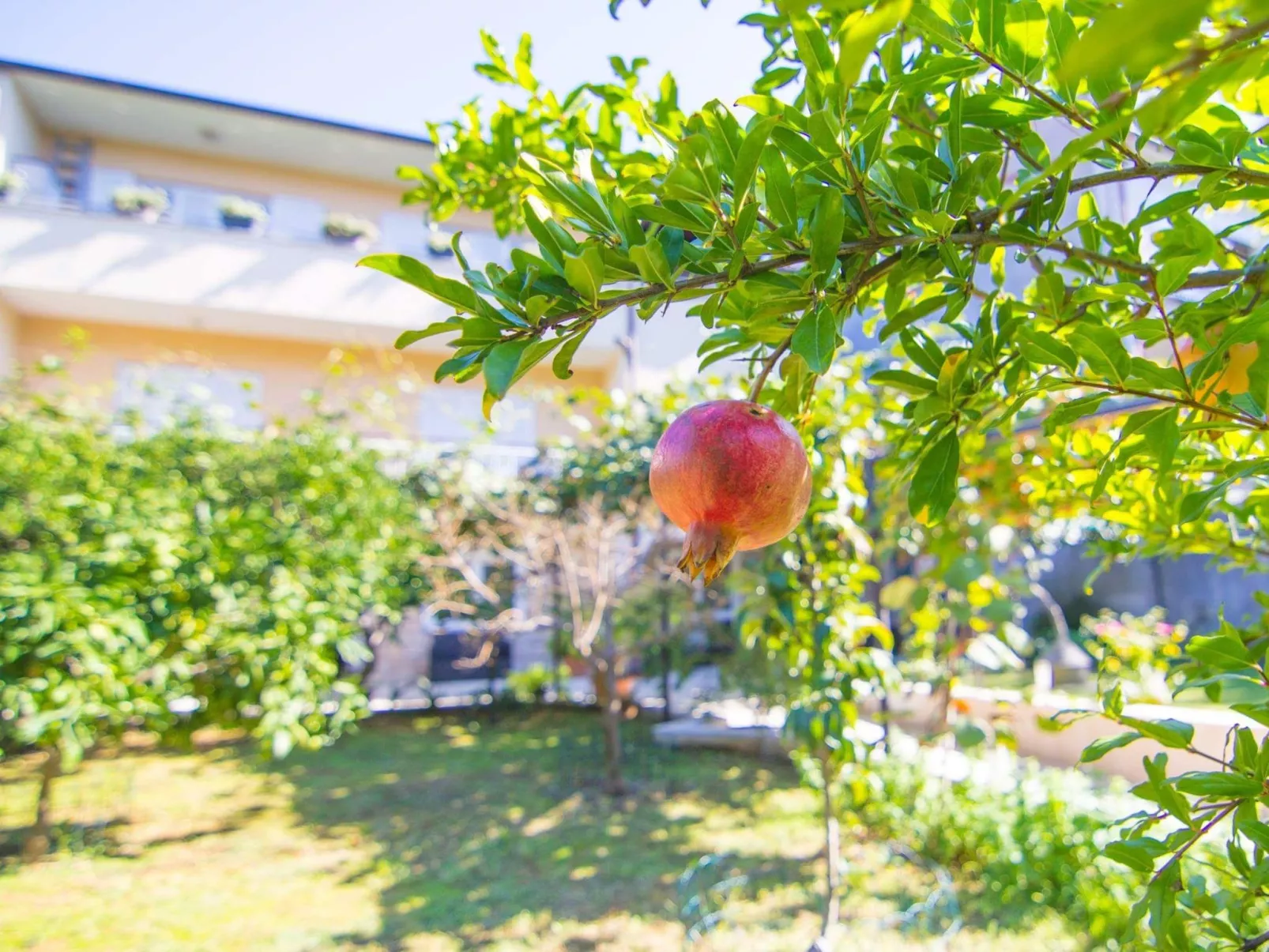 Gemütliche Wohnung mit Gartenblick-Outside