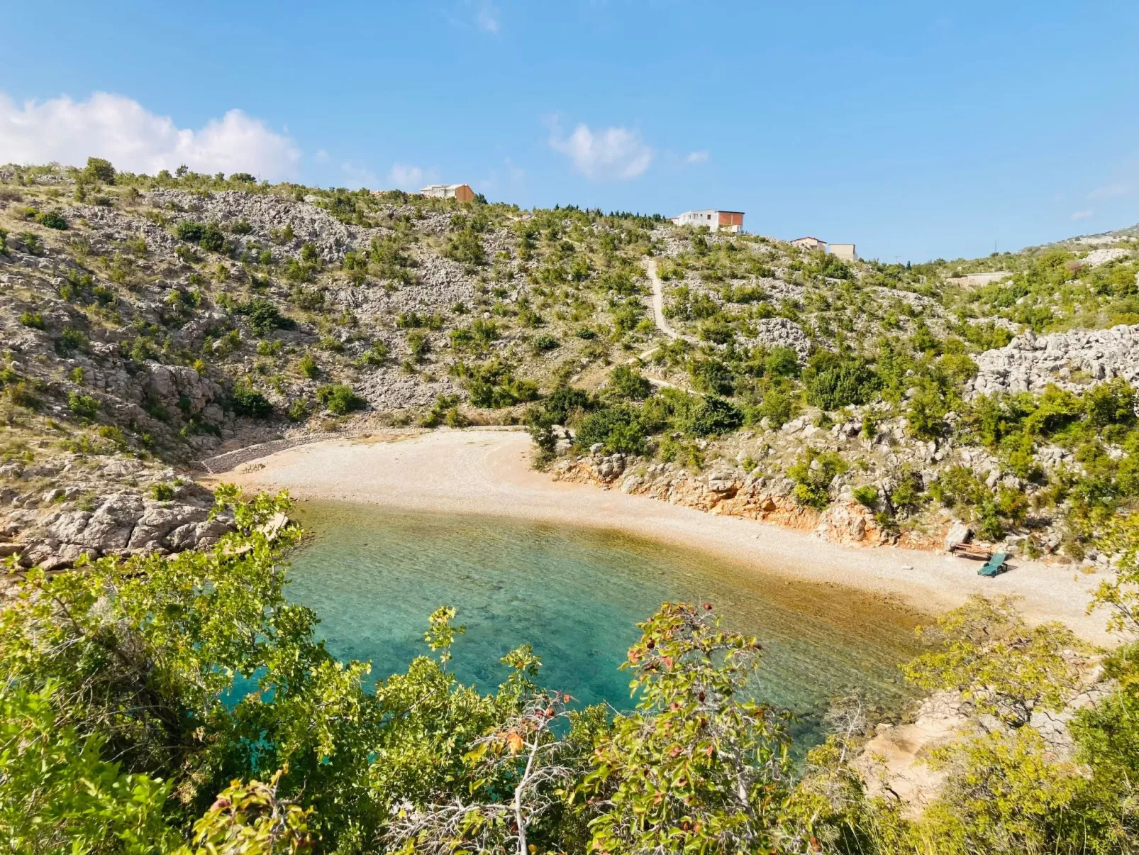 Brozovic-Image-tags.info