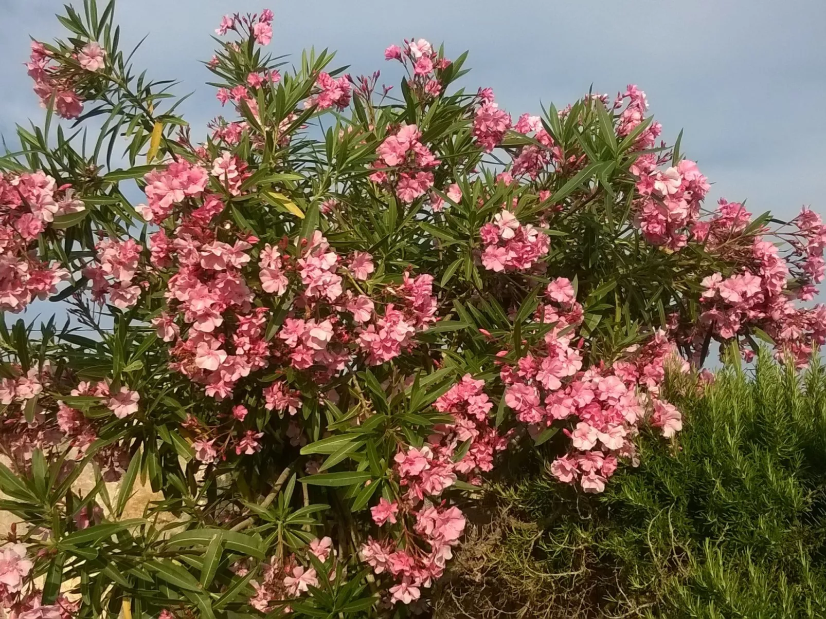 Mit Blick auf das Wasser-Image-tags.info