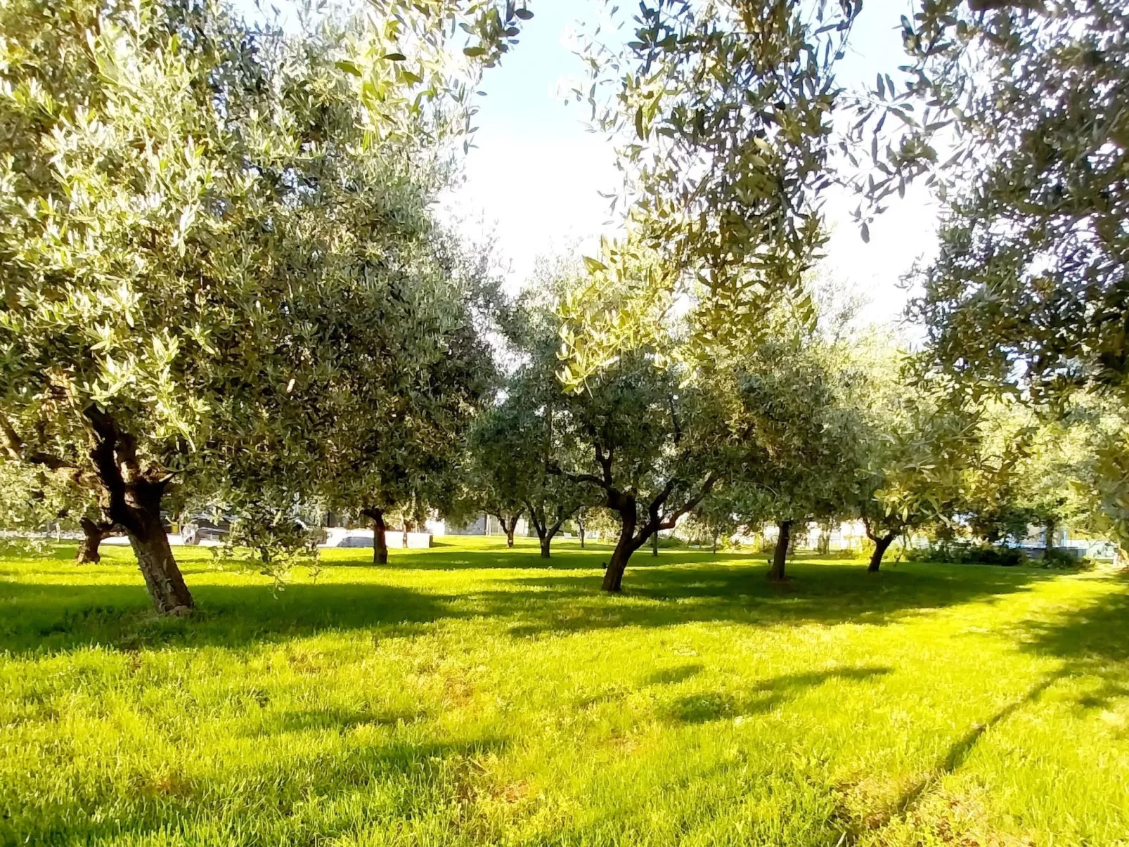 Hacienda Matea - Oase der Romantik in Strandnähe-Outside