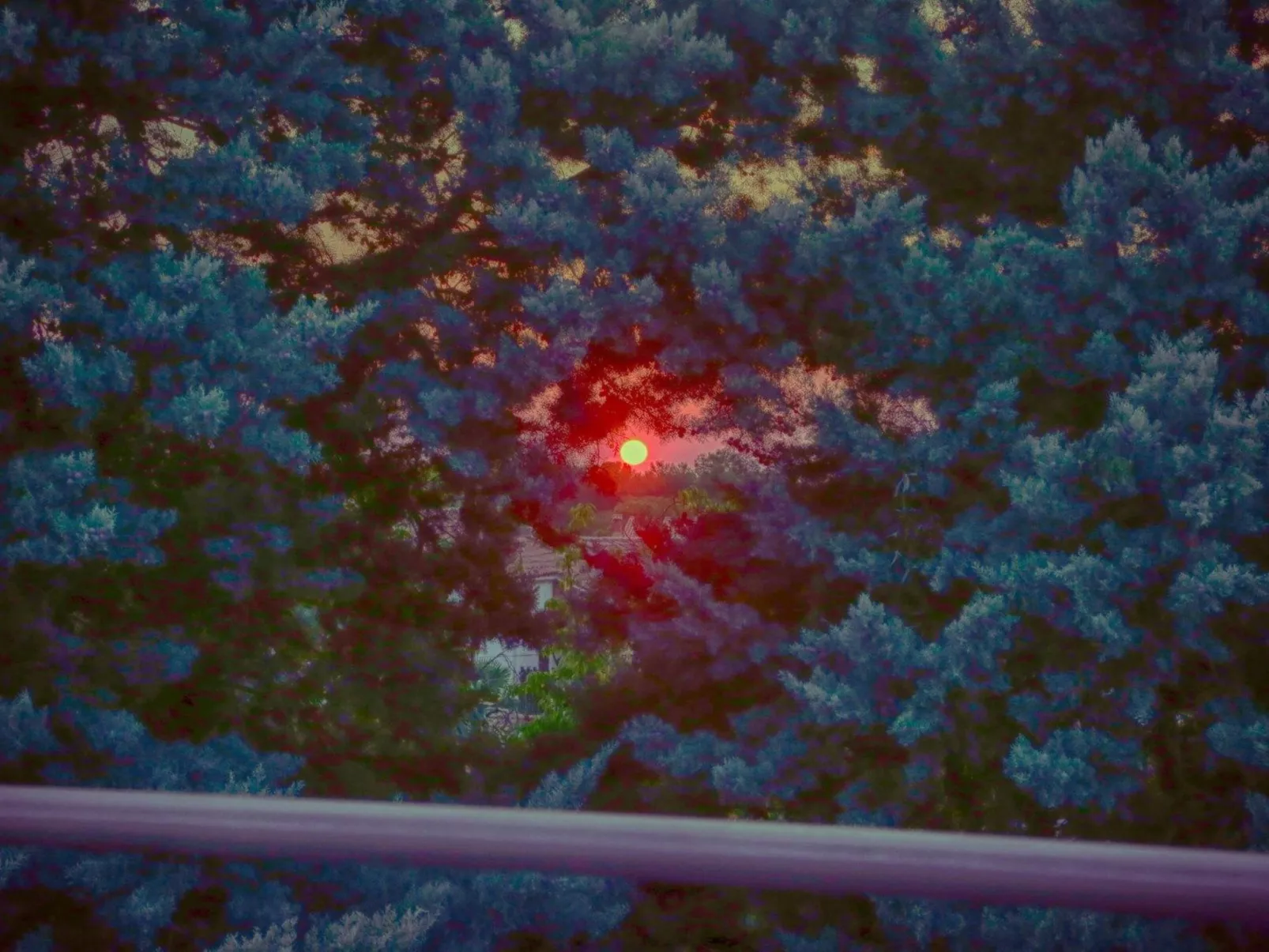 App Coki 5.-Image-tags.info