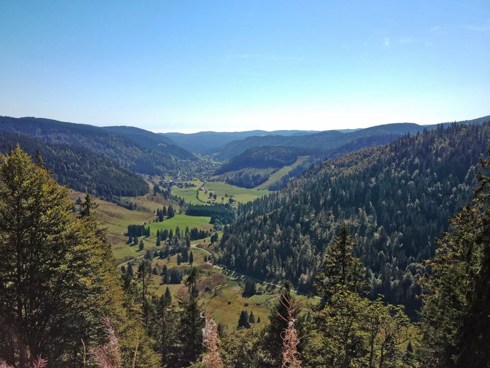 Schwarzwaldhaus St. Blasien, direkt am Bach-Area
