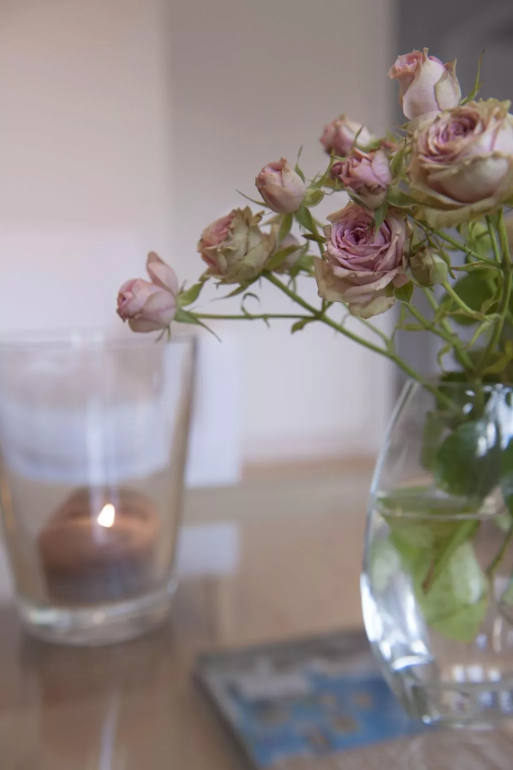 Wohlfühloase für Natur- und Gartenliebhaber-Inside