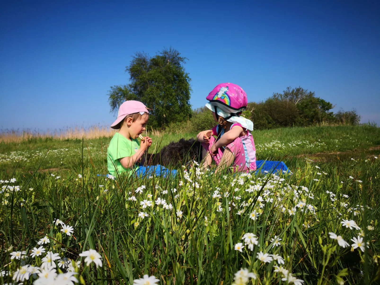 FeWo Star unten-Dehors