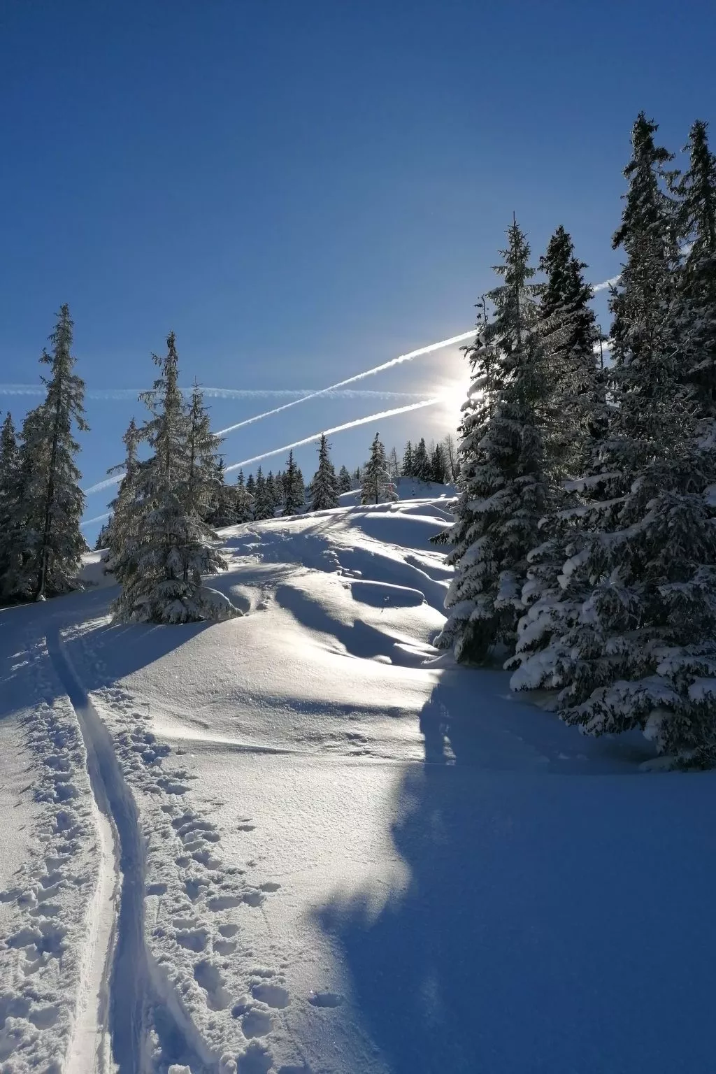 Chalet Kreuzkogel-Outside
