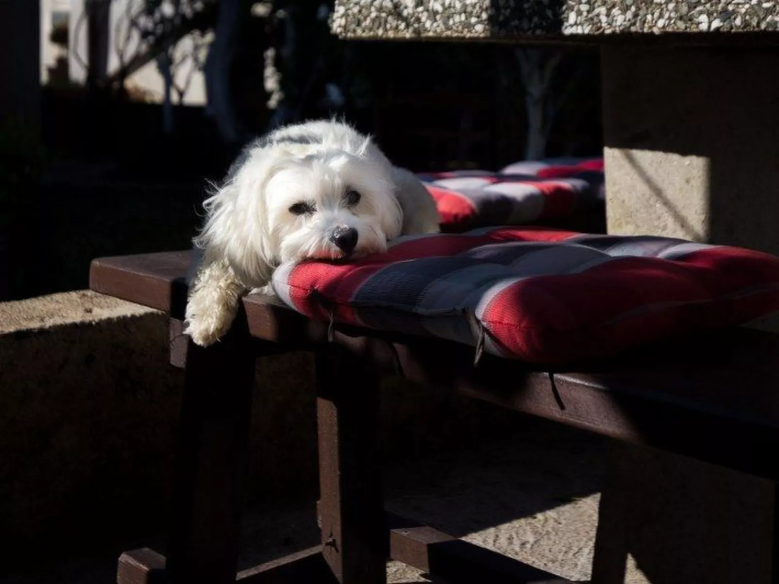 Kleines Studio Slaven in Krk-Inside