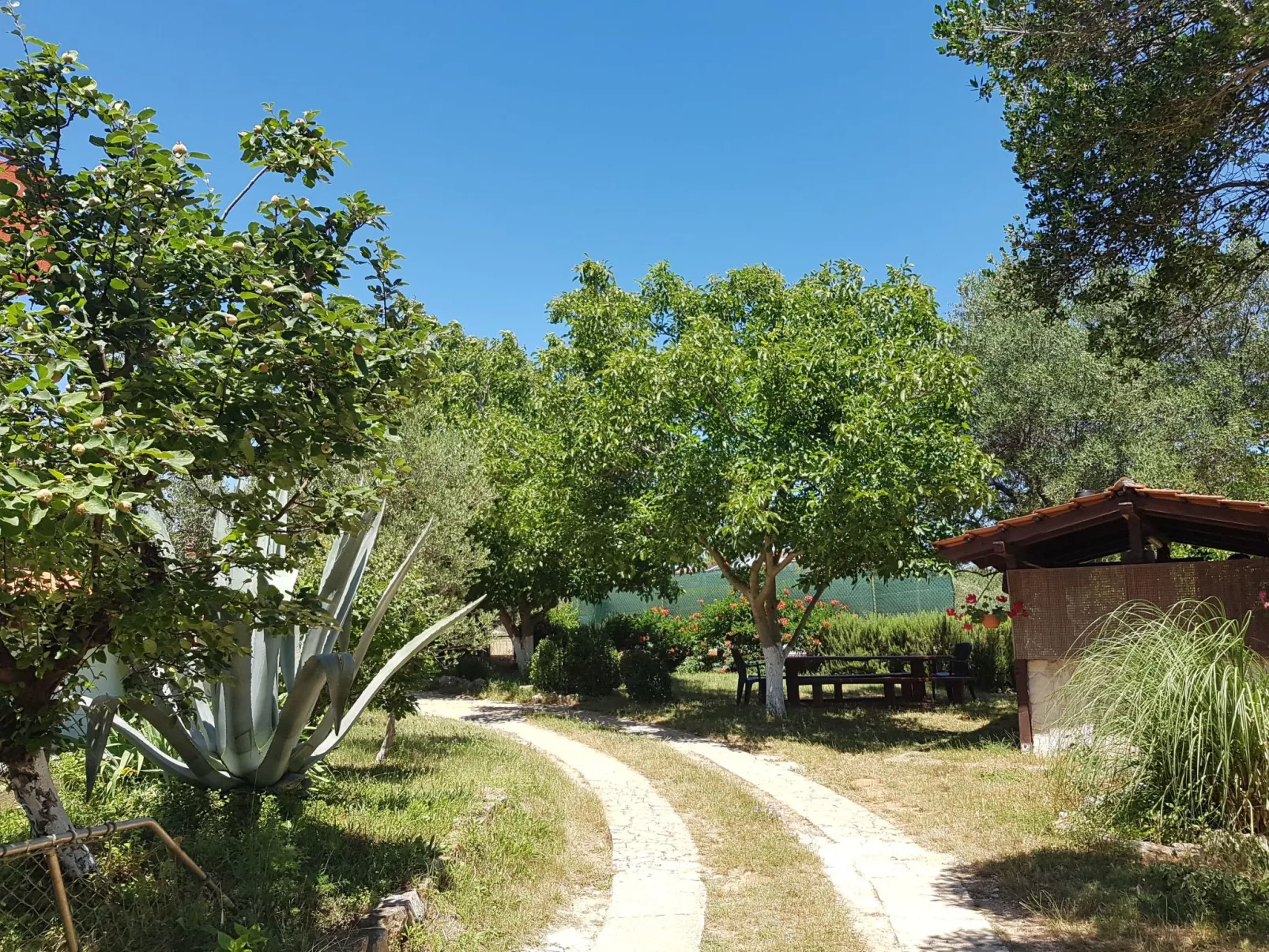 Ganze Wohnung in Ližnjan mit Möbliertem Balkon-Dehors