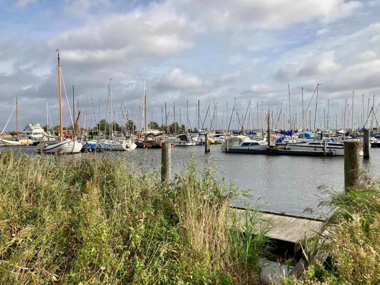 009 Casa Rosa-Dehors