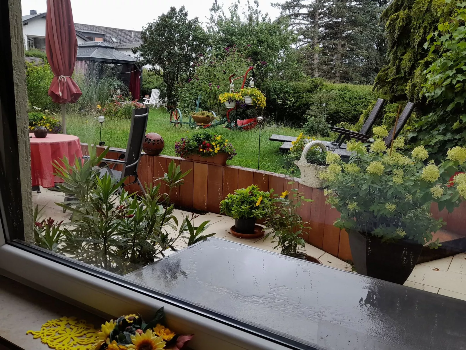 FeWo Sonnenblume-Image-tags.info