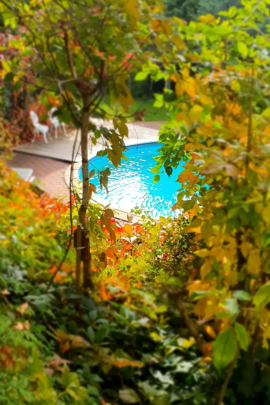 In Glashütt mit Finnischer Sauna-Outside