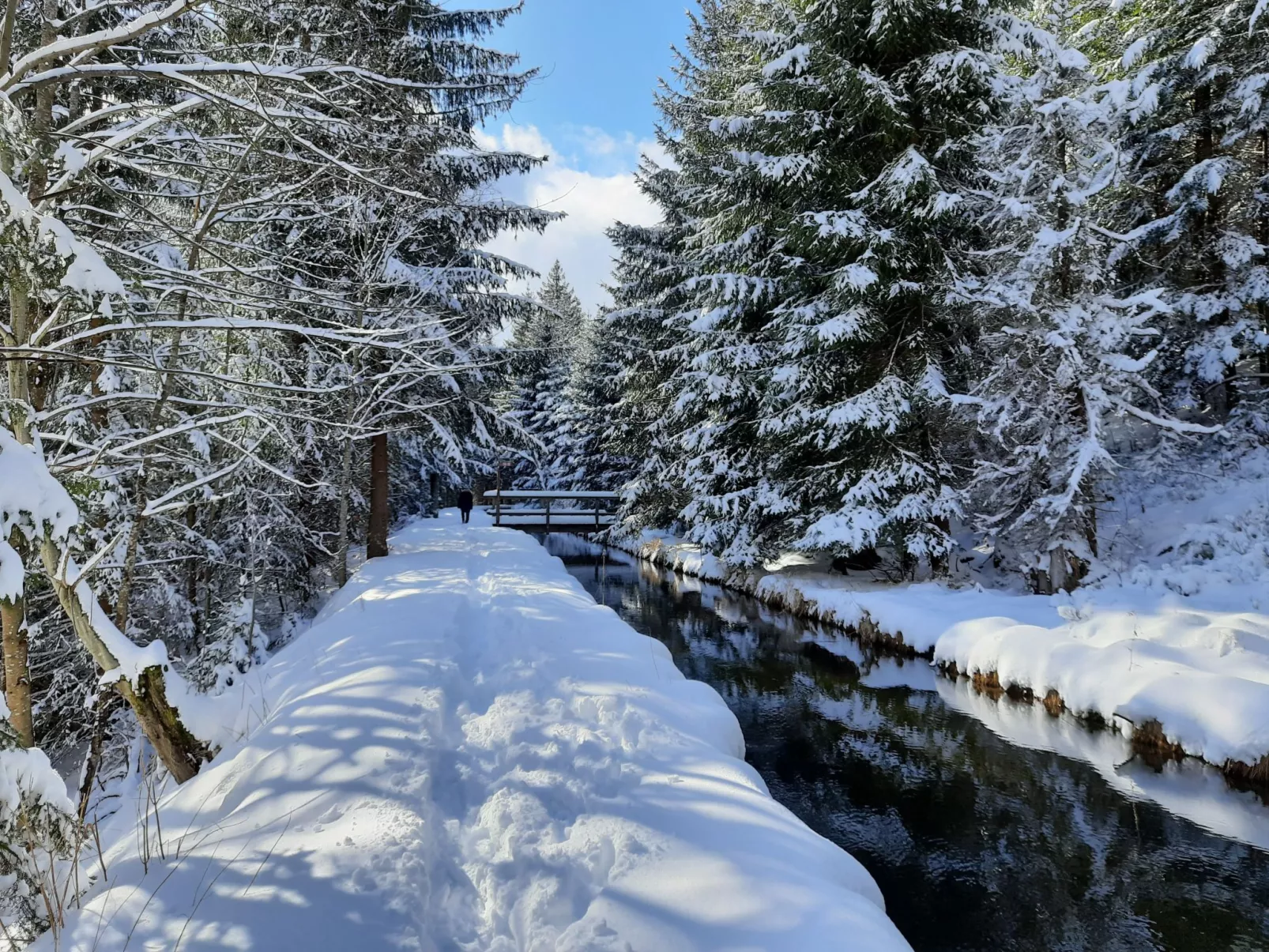 Seitz 2 in Bayerisch Eisenstein-Draußen