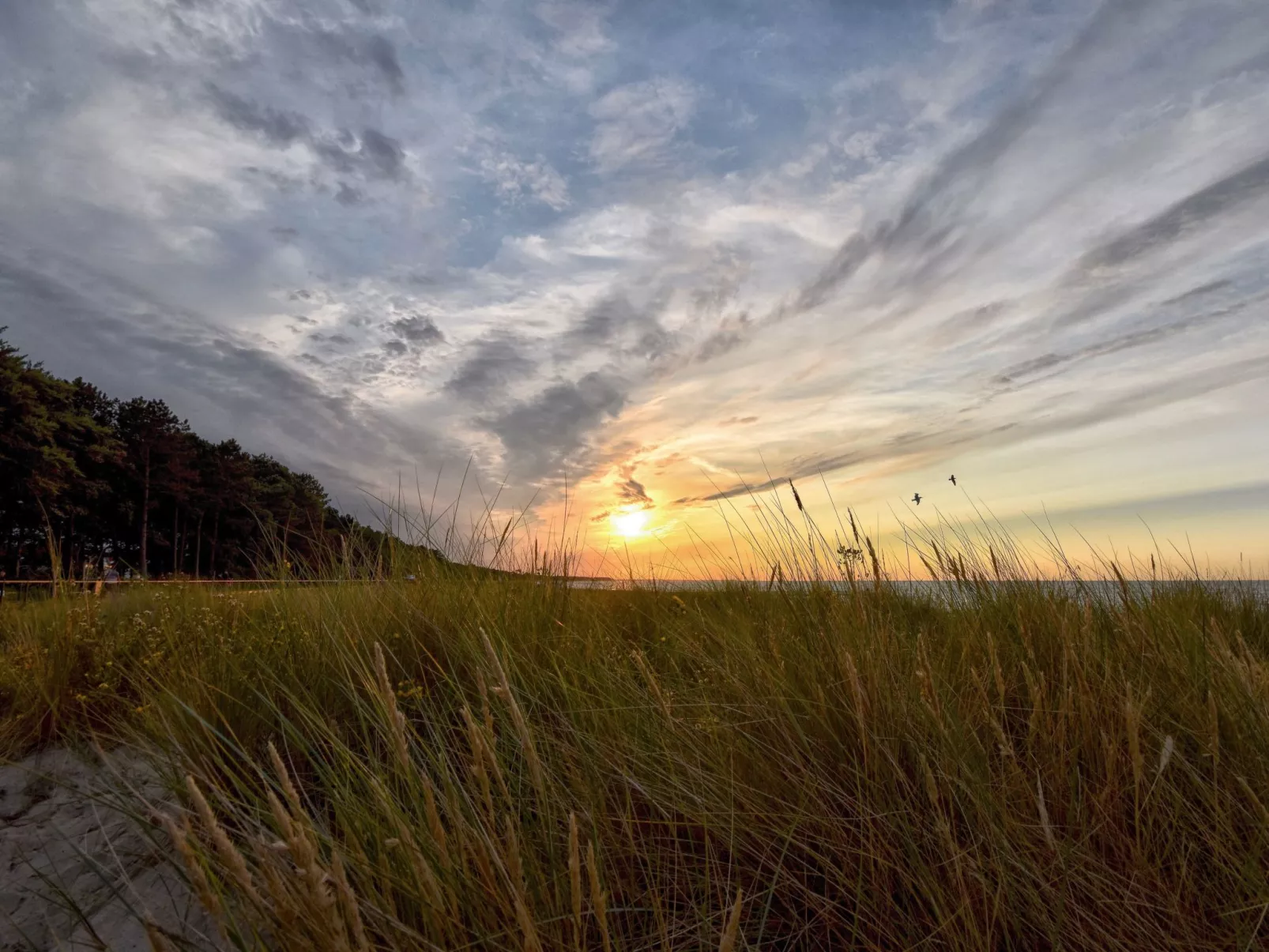 Familiäres, charmantes Appartement in Zingst-Outside
