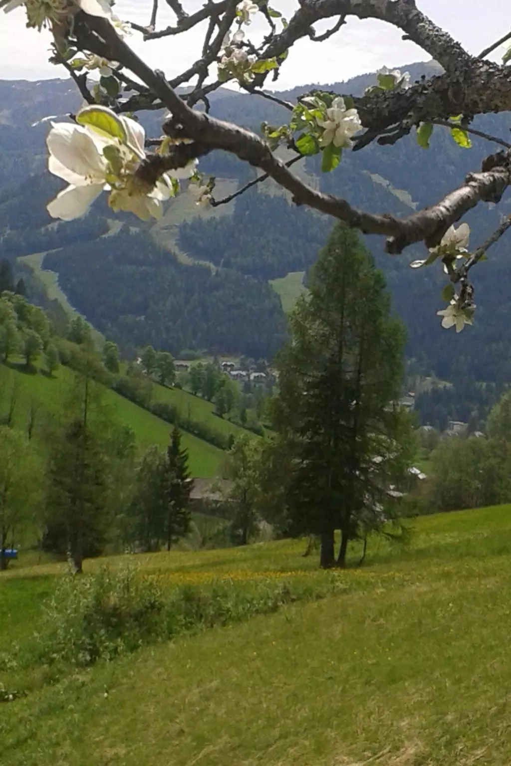 Freistehendes Ferienhaus in idyllischer Lage-Outside