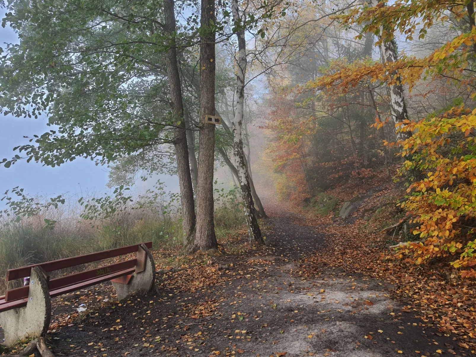 Waldhaus57 Silbersee-Draußen