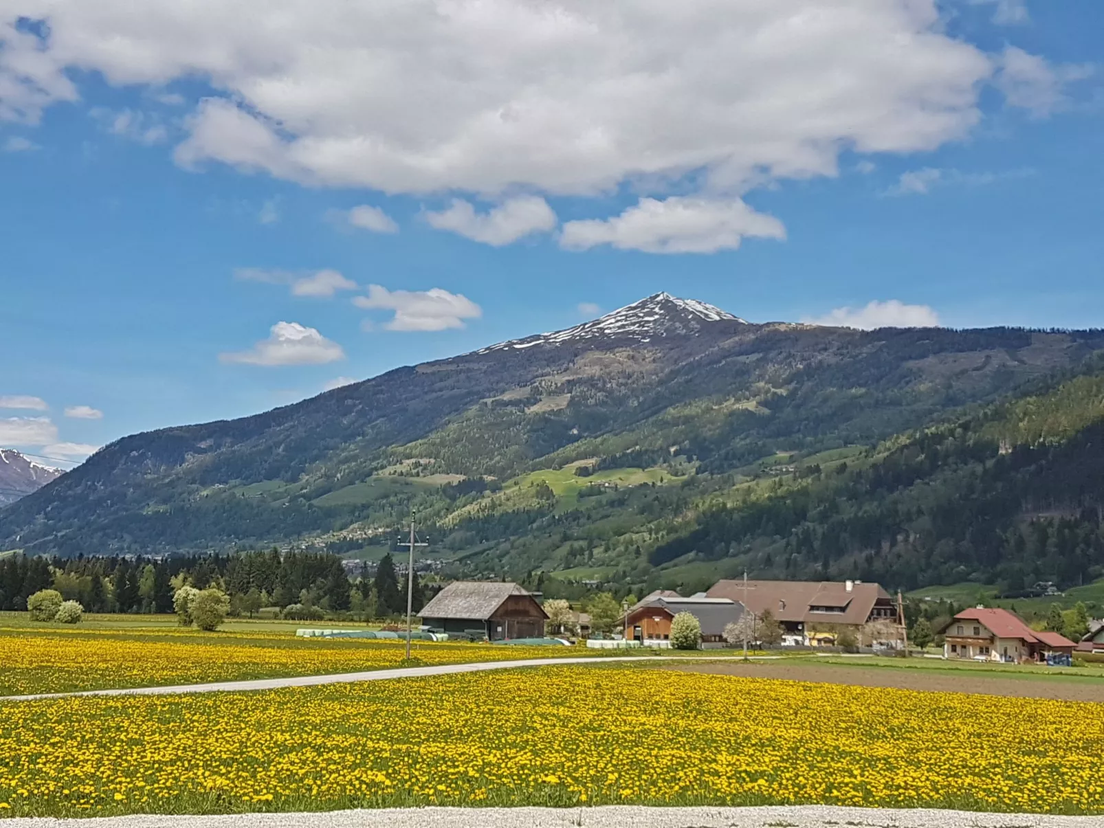 Villa Dorothea - Environnement