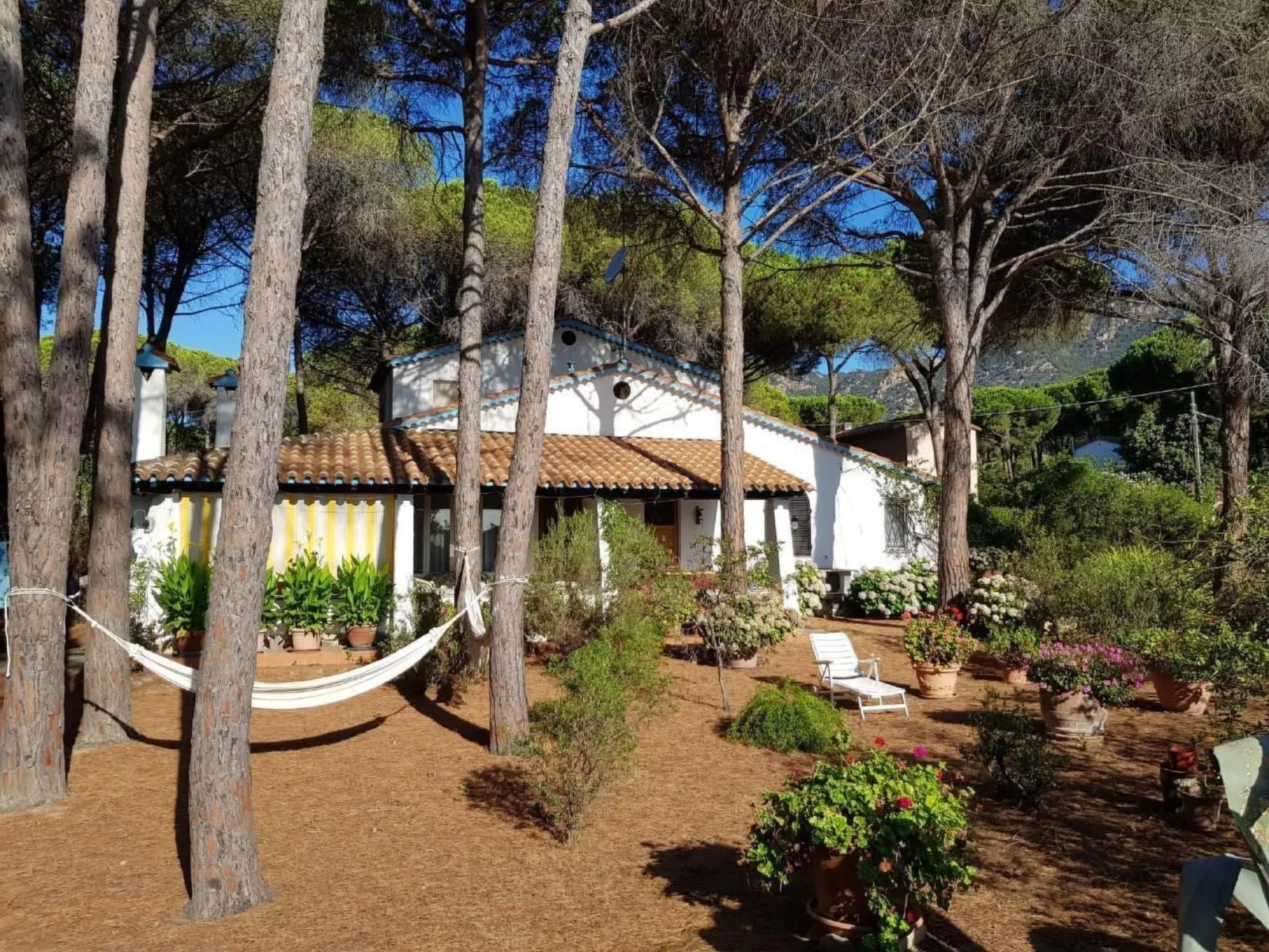 Mare e Pineta-Drinnen