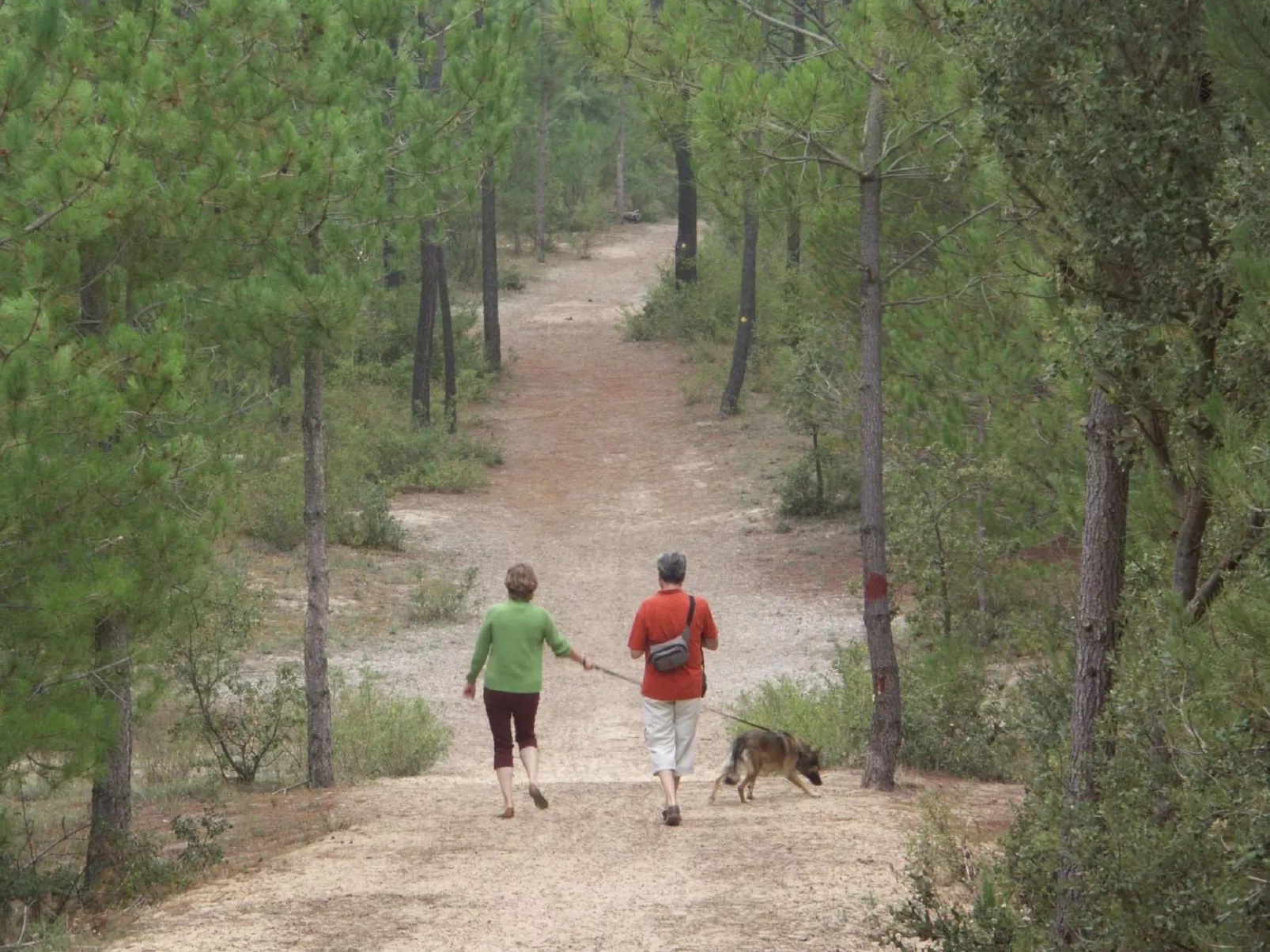 APPARTEMENT GRAND BALCON FACE MER WIFI GRATUIT-Outside