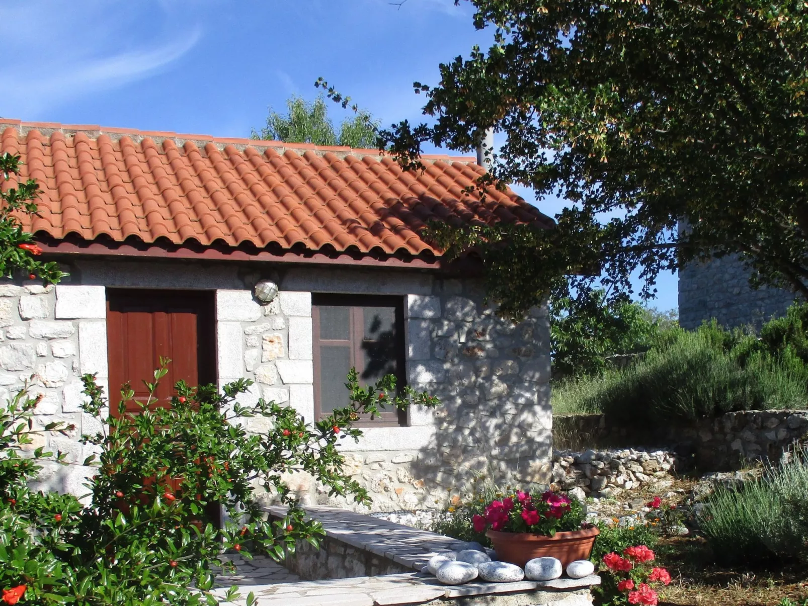 1249147 (copy)-Draußen